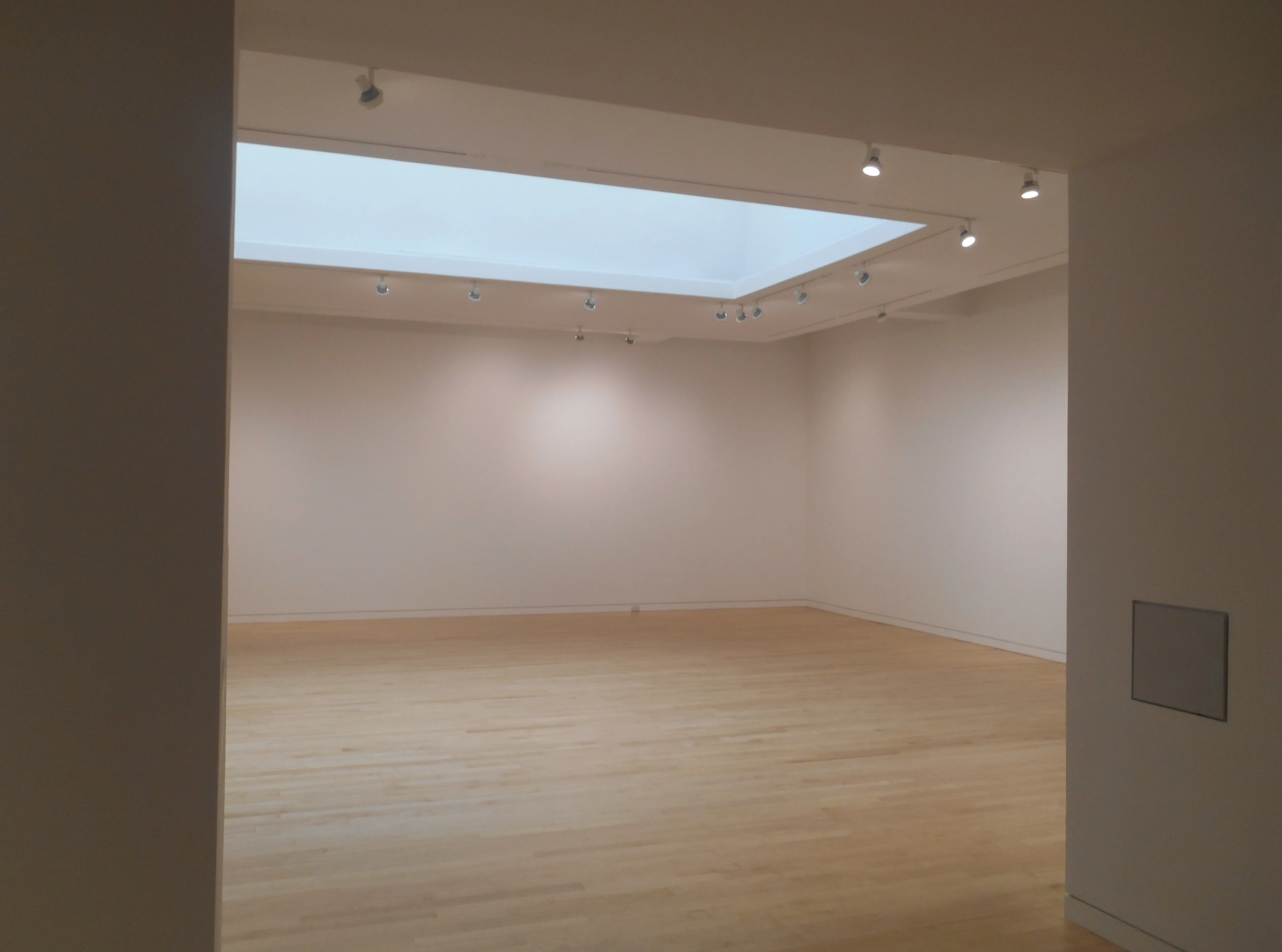 Sala de galería vacía con paredes blancas, suelo de madera clara y un gran tragaluz rectangular con iluminación de riel.