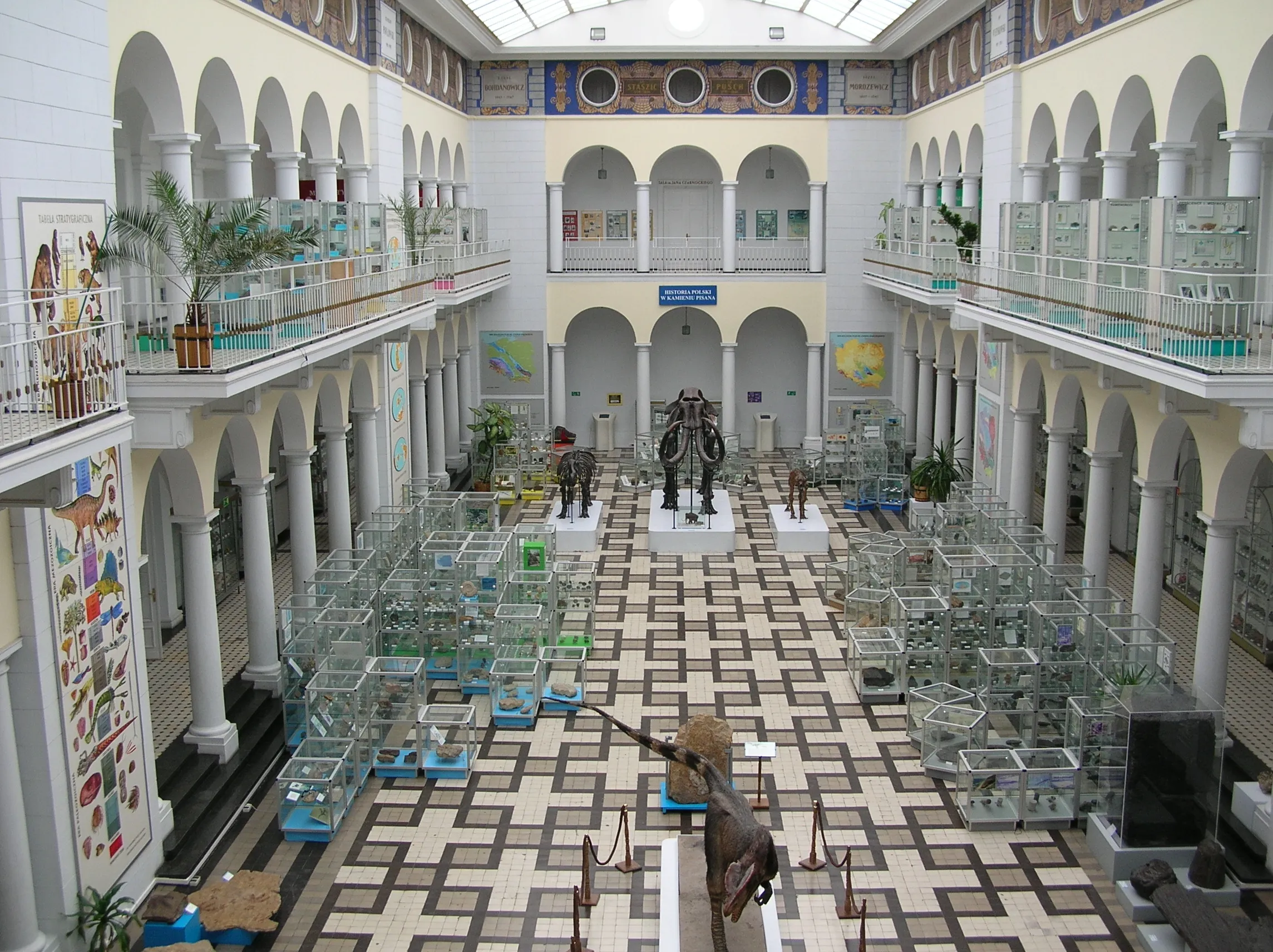 Wnętrze muzeum z arkadowymi kolumnadami, podłogą wyłożoną kafelkami i przeszklonymi gablotami wypełnionymi okazami