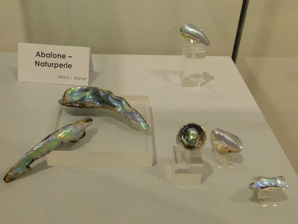 objetos de abulón y perlas naturales expuestos en una vitrina de museo con una etiqueta