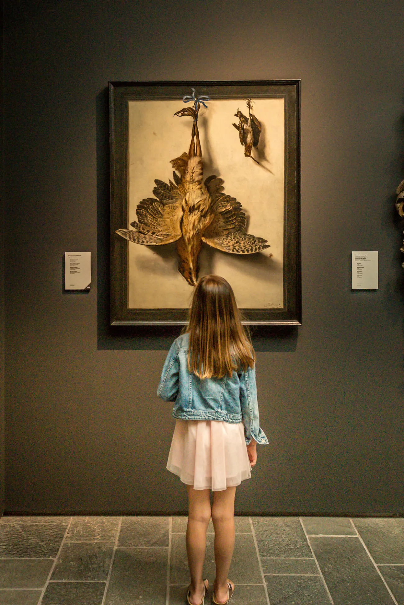 Una niña pequeña de cabello castaño largo, que viste una chaqueta de mezclilla y una falda rosa, está de pie frente a una gran obra de arte enmarcada que representa un ave disecada con las alas extendidas en una galería de museo de paredes gris oscuro.