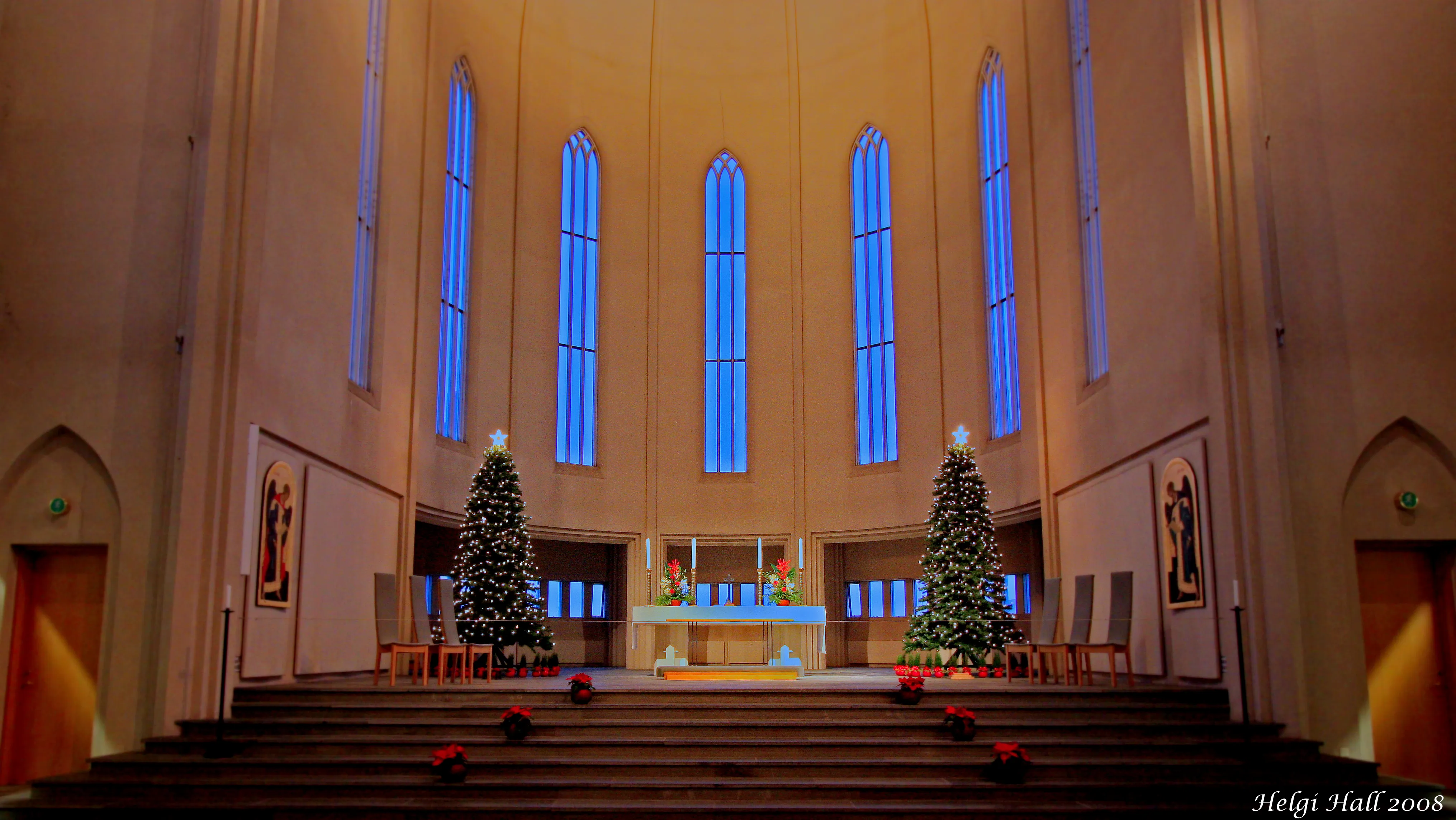 Interieur van de Hallgrímskirkja-kerk met zicht op het schip met hoge, smalle, blauw verlichte ramen, een centraal altaar met kaarsen en twee kerstbomen die het koor boven de houten banken flankeren.