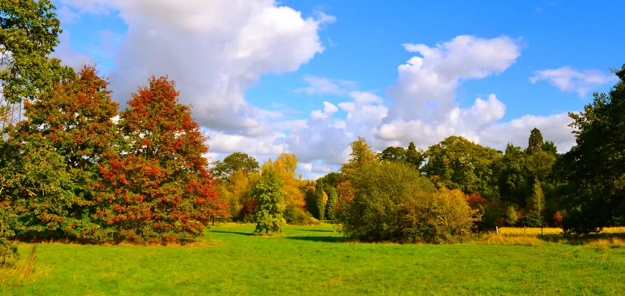 Uitgestrekt groen gazon omzoomd door herfstkleurige bomen in rood, oranje en geel onder een helderblauwe lucht met witte wolken bij het Harcourt Arboretum
