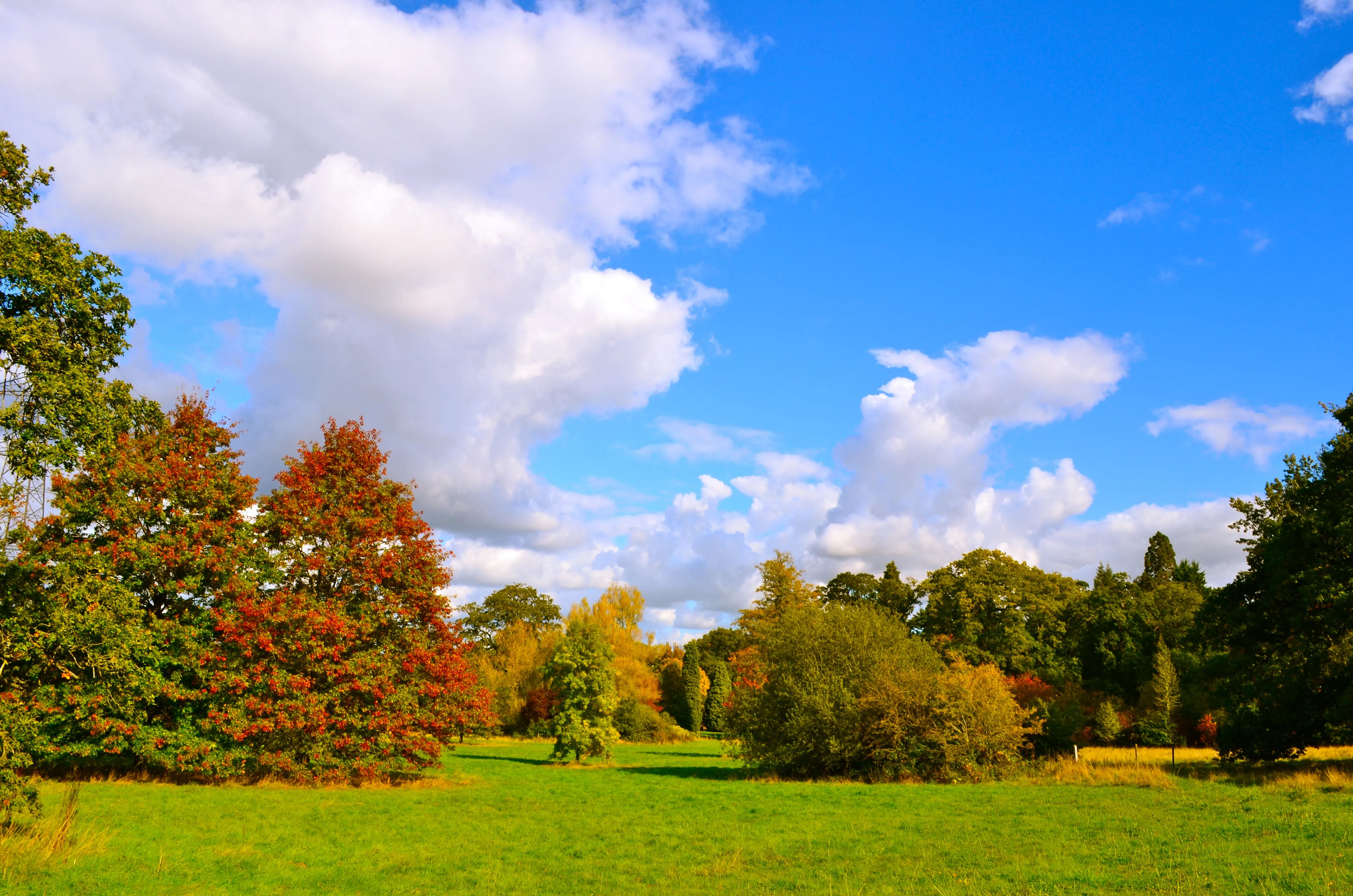Groene weide met herfstkleurige bomen in rood, oranje en geel onder een helderblauwe lucht met witte wolken bij het Harcourt Arboretum