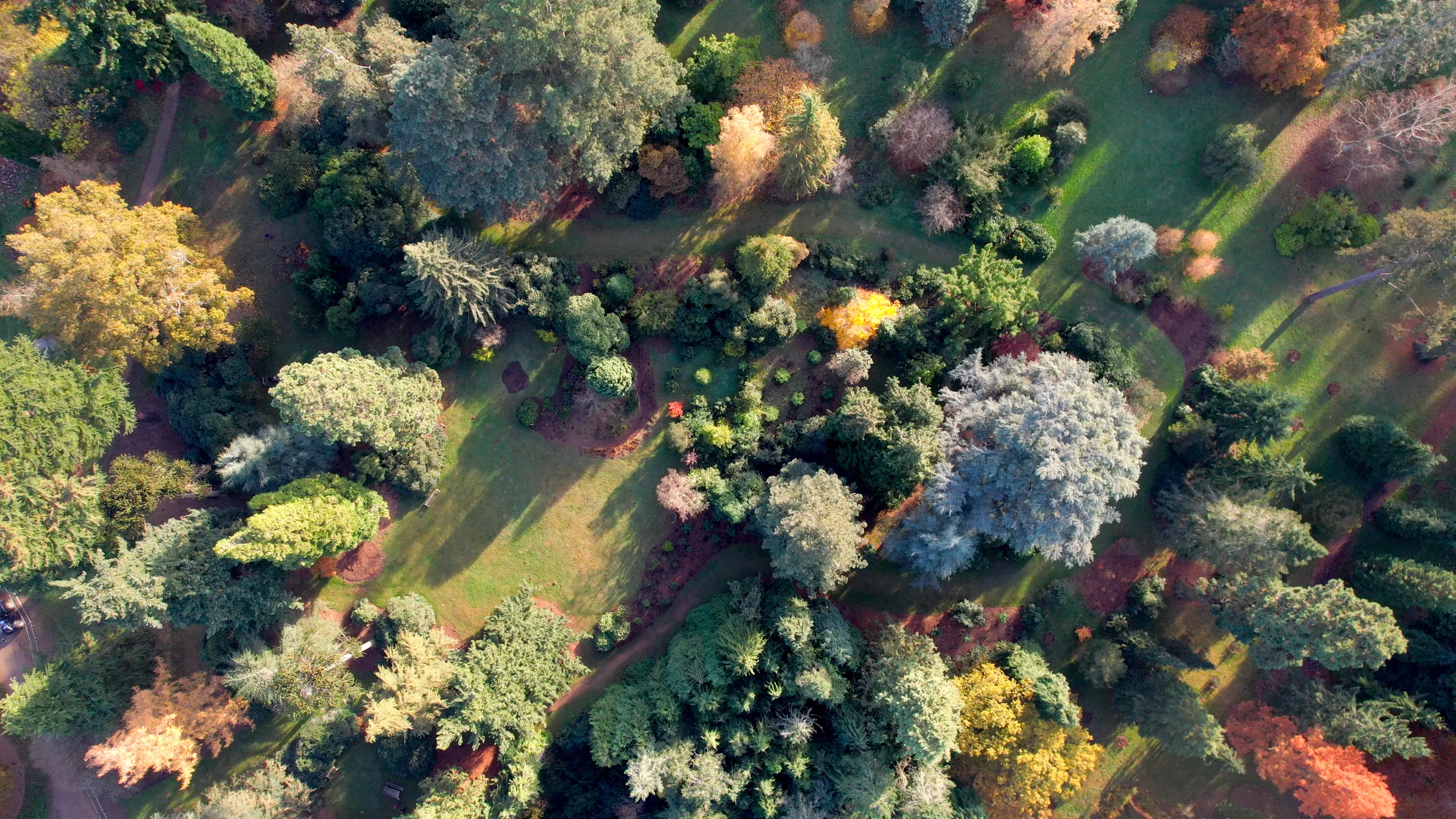 Luchtfoto van Harcourt Arboretum met een kleurrijk bladerdak van herfstbomen in groen, geel, oranje en rood, met slingerende paden door het terrein.