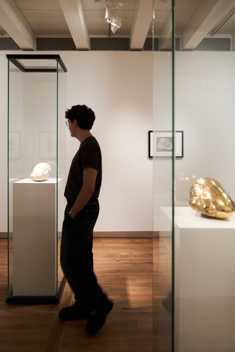 Visitor observing exhibits in a museum gallery with glass display cases containing a white sculptural object and a golden artifact on white pedestals