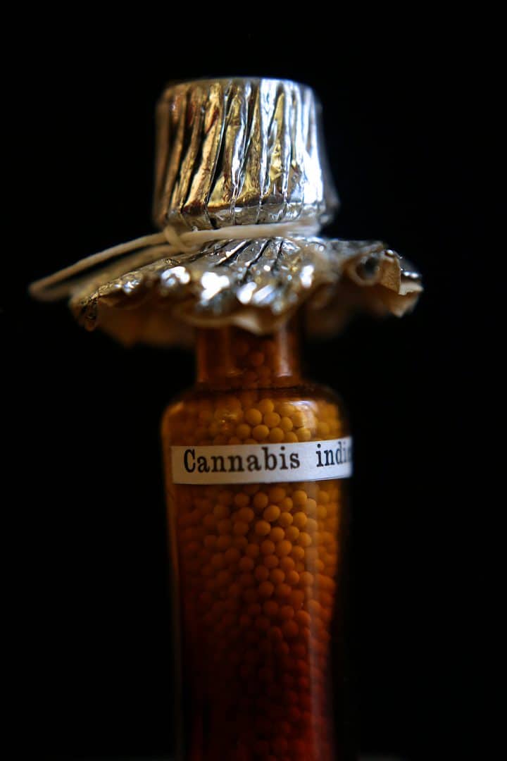 Small glass bottle filled with orange seeds labeled 'Cannabis indica' against black background