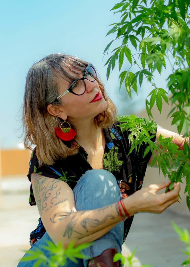 Person examining cannabis plants with distinctive fan-shaped leaves, outdoors at a museum exhibit