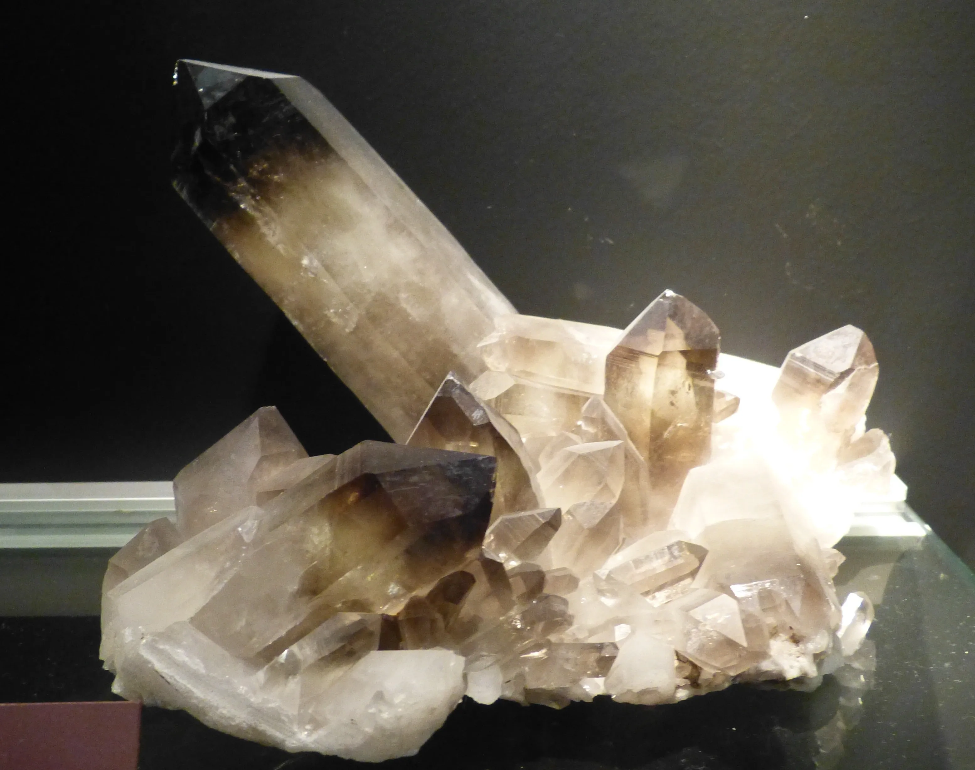 Grupo de cristales de cuarzo ahumado expuesto en una vitrina de museo, con un cristal grande y prominente que surge de una base de cristales más pequeños de color parduzco translúcido.