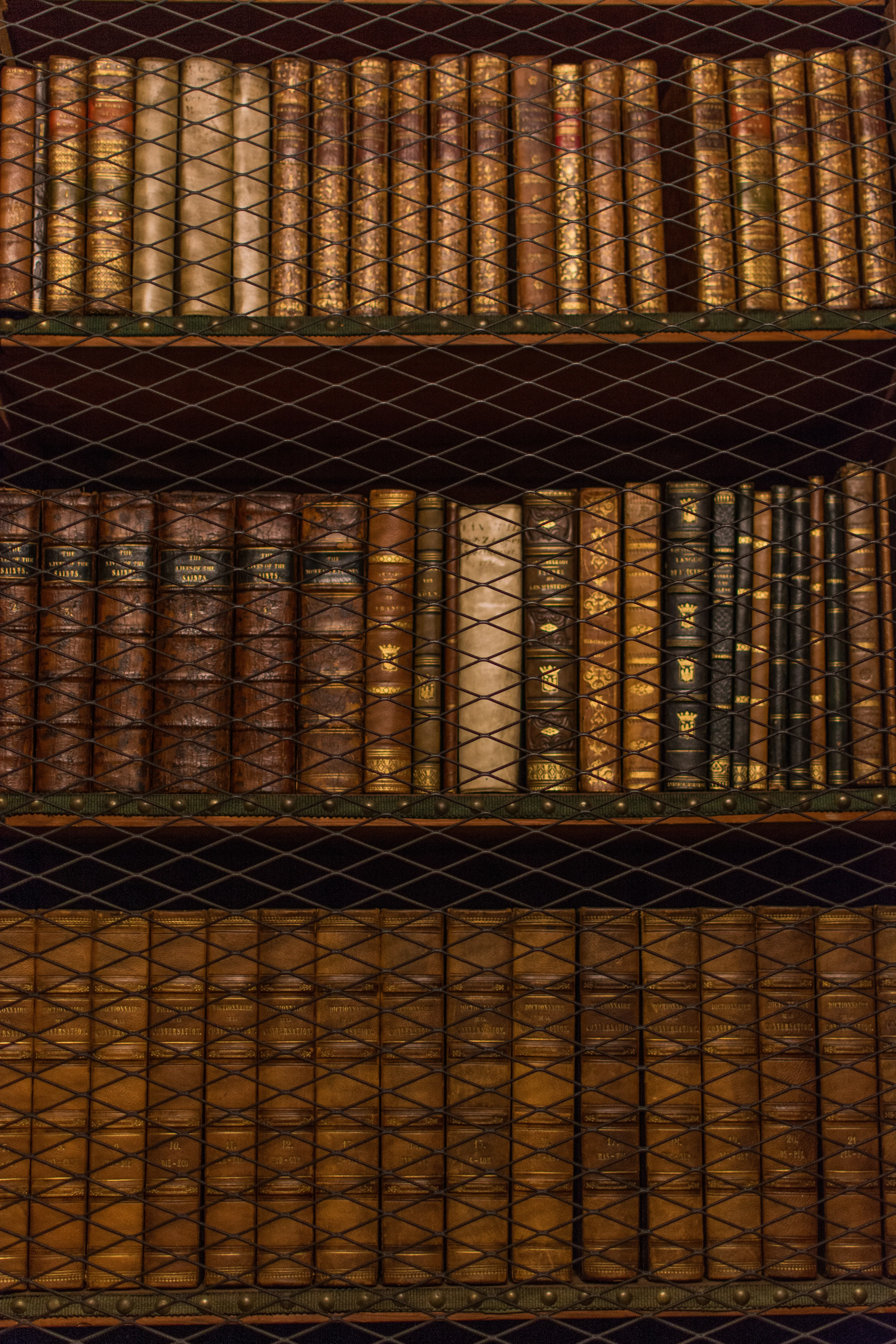 Filas de libros antiguos encuadernados en cuero sobre estantes de madera, protegidos por una rejilla metálica de malla romboidal en una biblioteca histórica