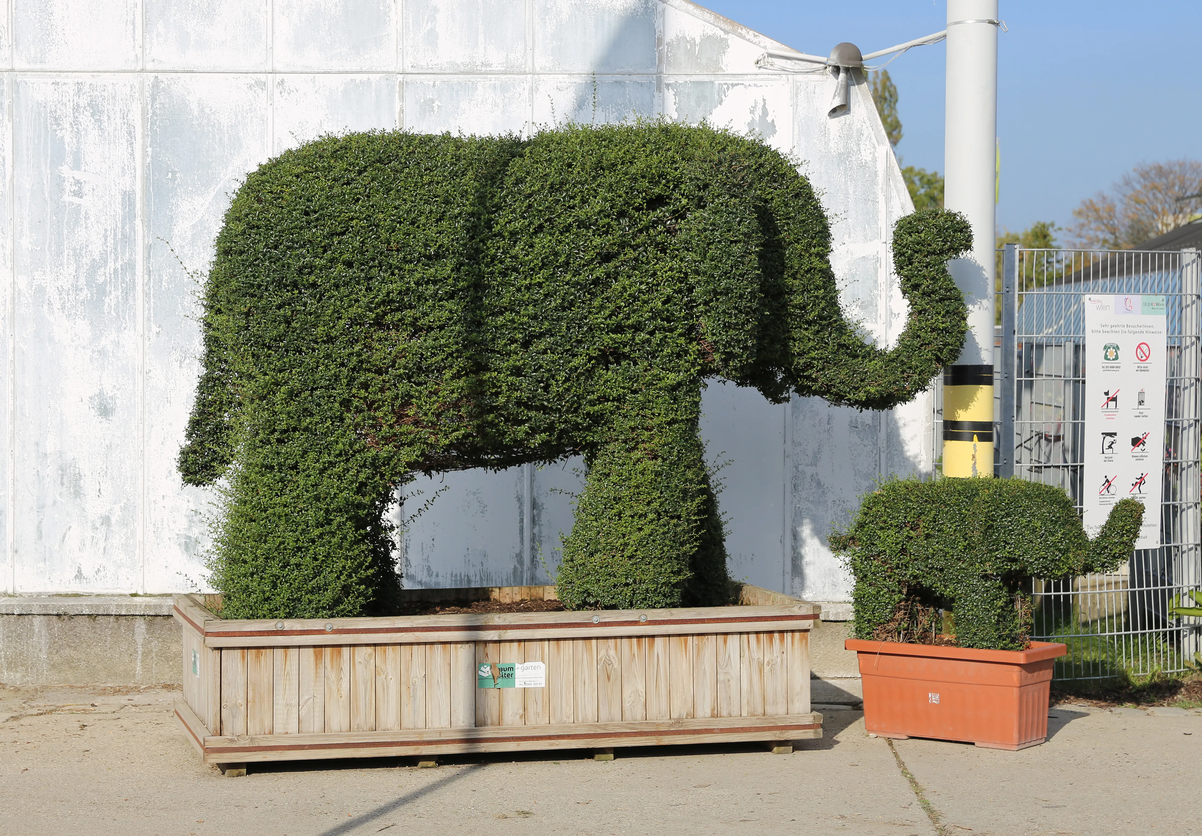 Large green topiary elephant and smaller elephant in planters