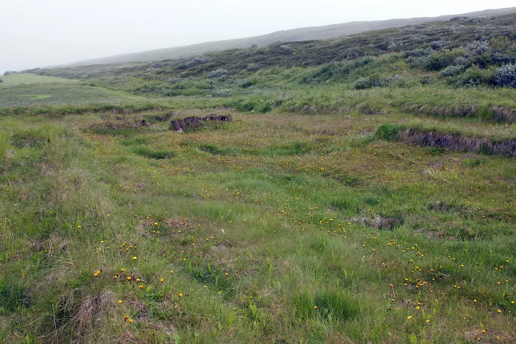 Paisaje herboso con ruinas de piedra bajas y movimiento de tierras visibles en un campo abierto en un yacimiento arqueológico de la época vikinga