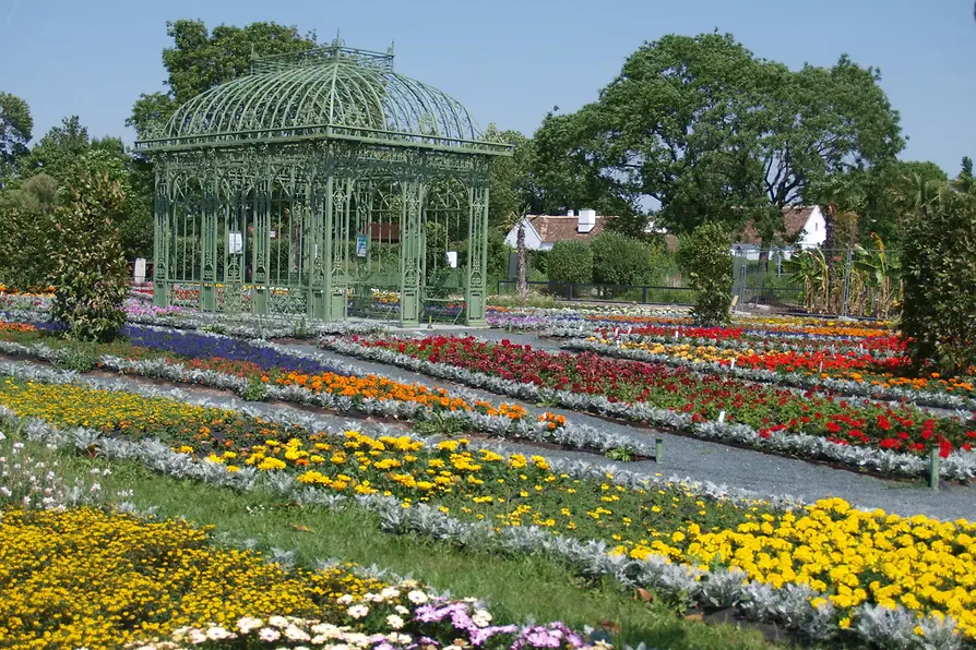 Colorful flower beds with yellow, red, and white blooms in rows, a green metal gazebo, and trees in the background.