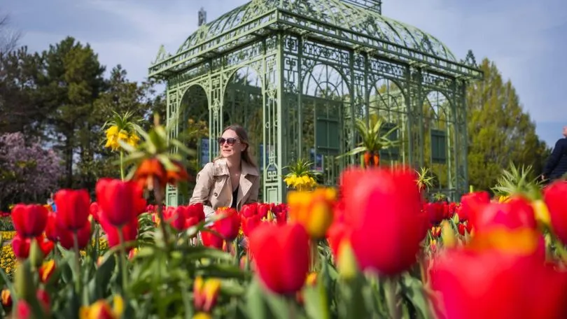 A woman in sunglasses stands behind a field of red and yellow tulips with a green iron greenhouse in the background.