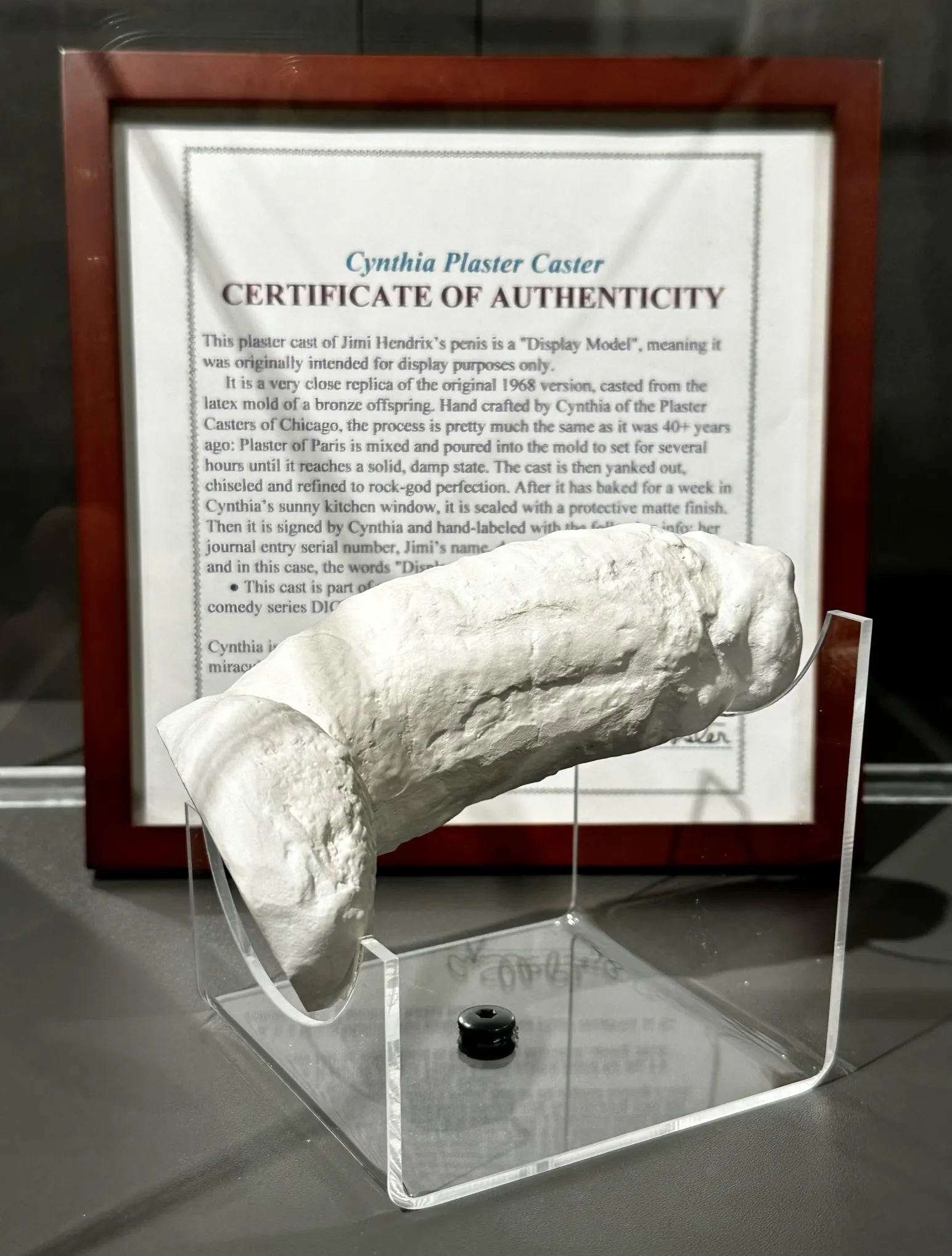 White plaster cast of Jimi Hendrix's penis displayed on a clear acrylic stand in front of a framed Certificate of Authenticity from Cynthia Plaster Caster