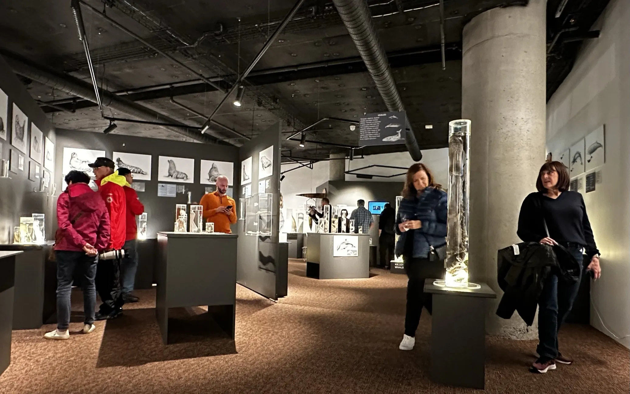 Museum interior with visitors viewing display cases and exhibits, including a large cylindrical specimen in a glass case on a pedestal, with wall panels and exposed ceiling ductwork.