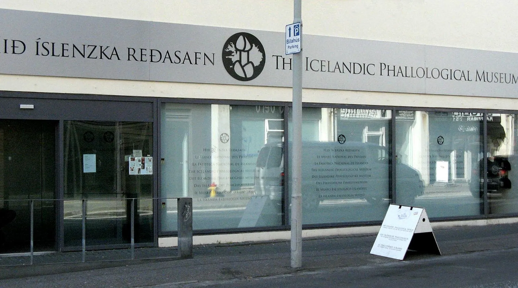 Street-level view of The Icelandic Phallological Museum facade with bilingual signage in Icelandic and English above glass entrance doors