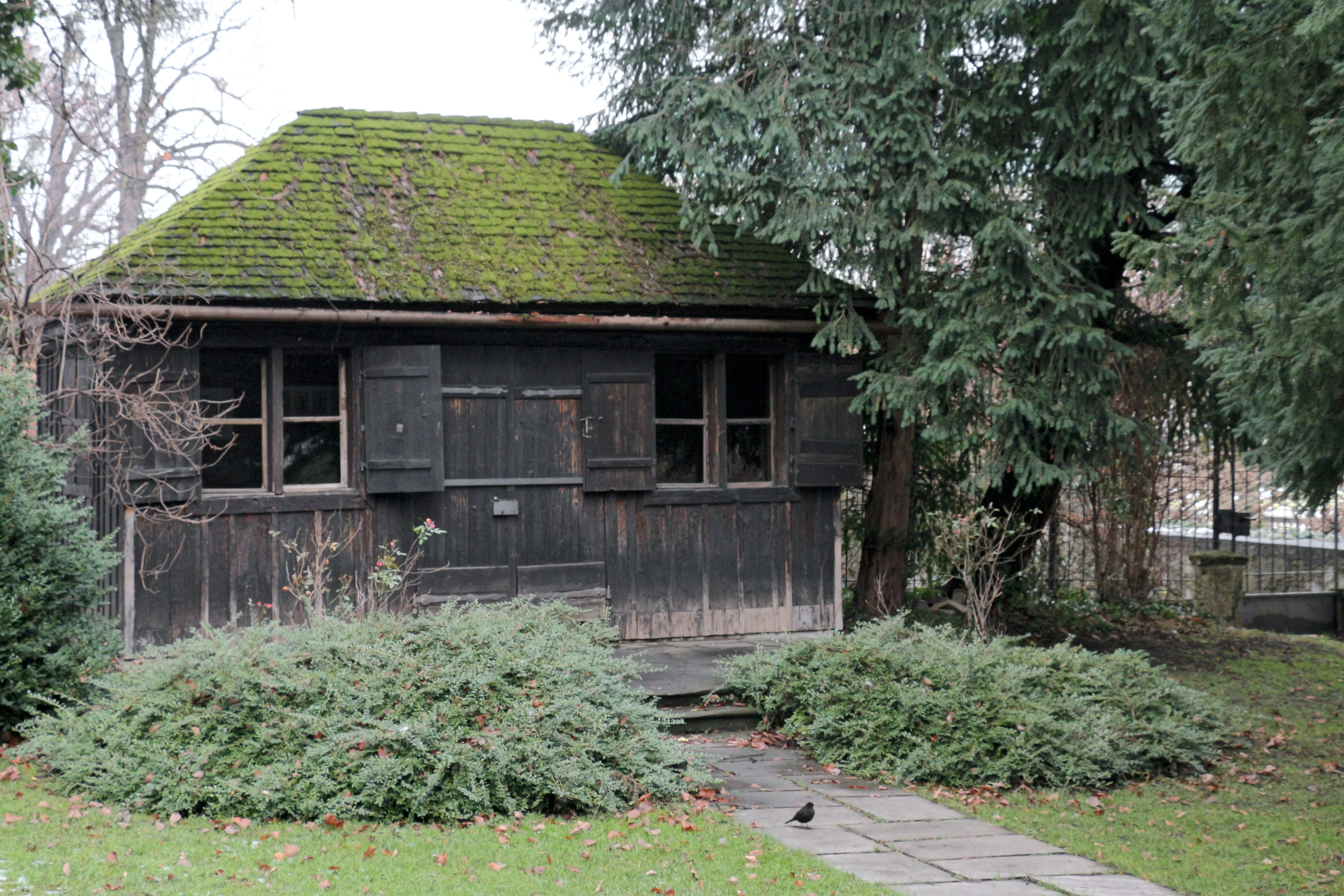 Small dark wooden cottage with a moss-covered green roof surrounded by trees and bushes, with a stone path leading to the entrance