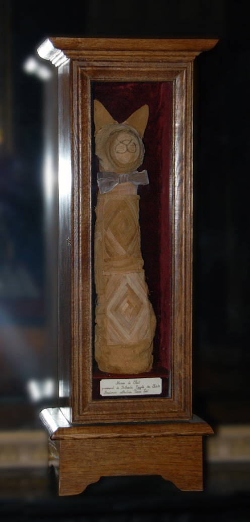 Carved cat-shaped artifact with bow tie displayed in wooden glass case with red backing. Small identification plaque at bottom.