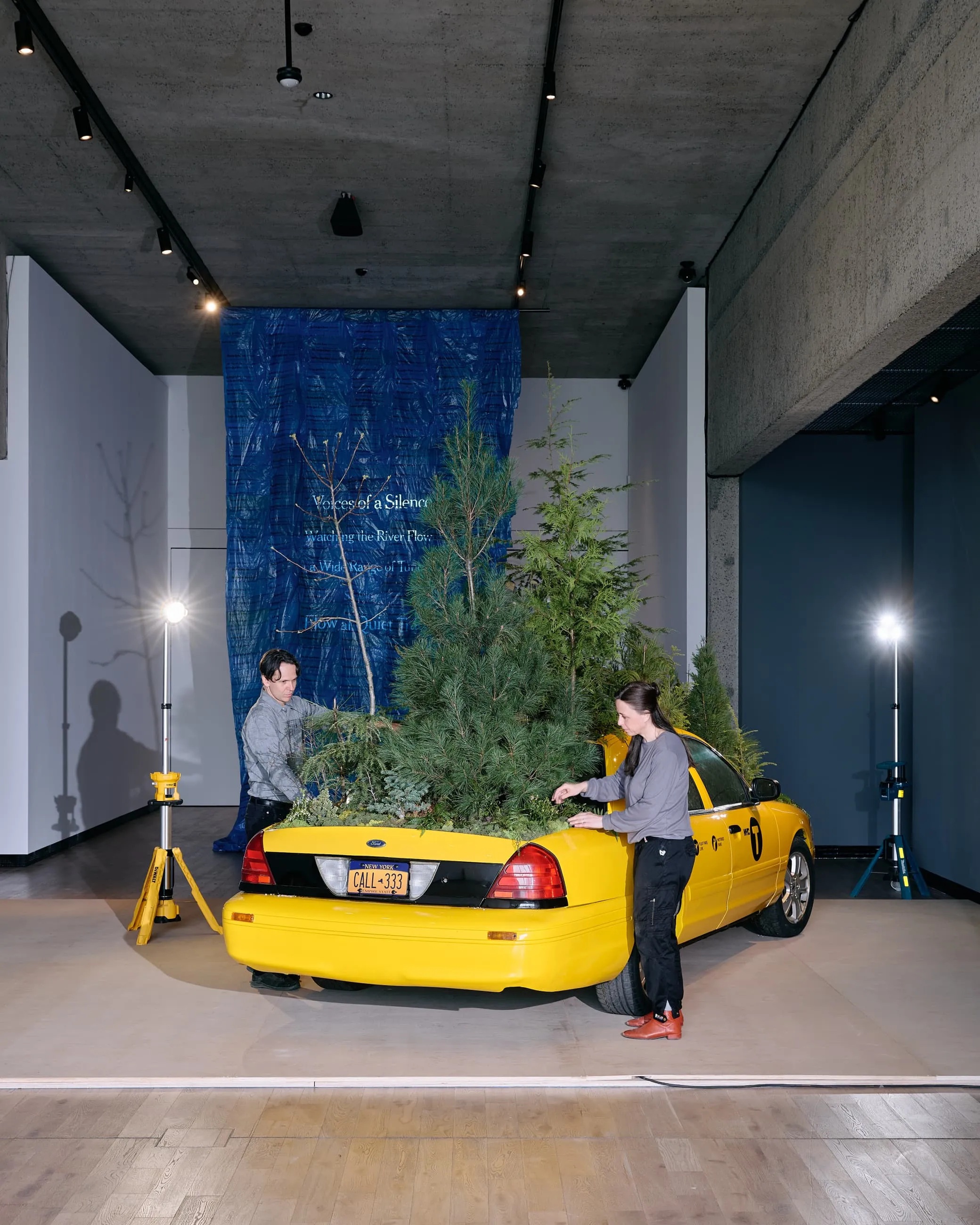 Yellow taxi filled with evergreen trees in an art gallery with two people arranging the installation