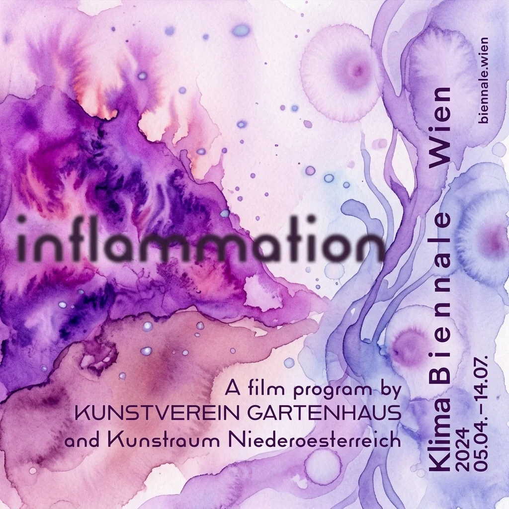 Plakat w stylu akwareli dla programu filmowego 'Inflammation', przedstawiający abstrakcyjne, purpurowe i różowe formy organiczne, z tekstem wskazującym, że jest częścią Klima Biennale Wien 2024.
