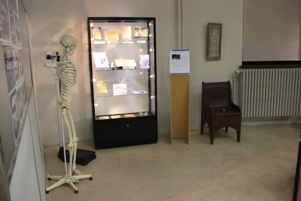 Interior de un museo que muestra un modelo de esqueleto humano sobre un soporte con ruedas junto a una vitrina de cristal iluminada con objetos, un pedestal informativo y una silla de madera