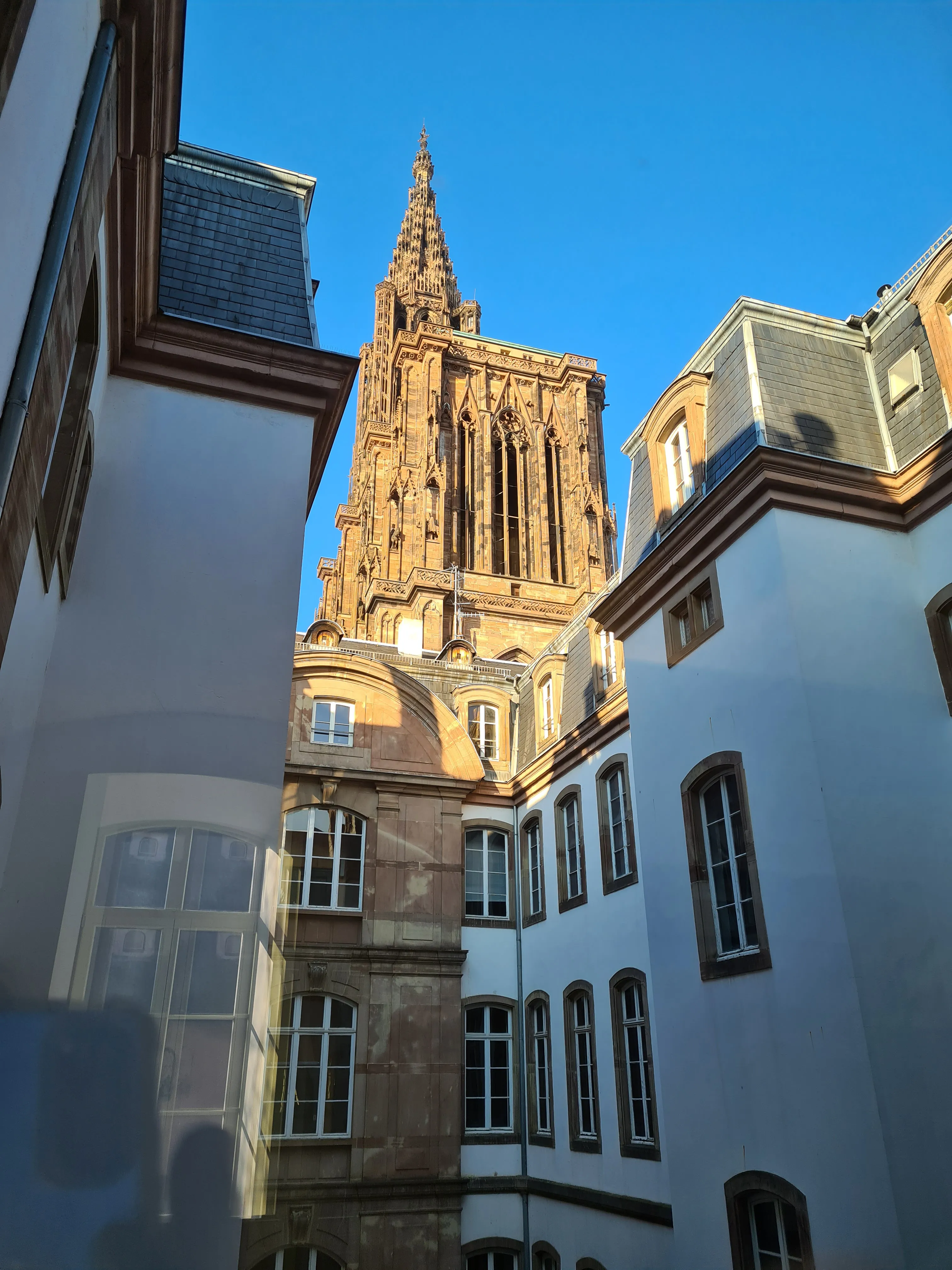 Representative view of Le 5e Lieu in Strasbourg.