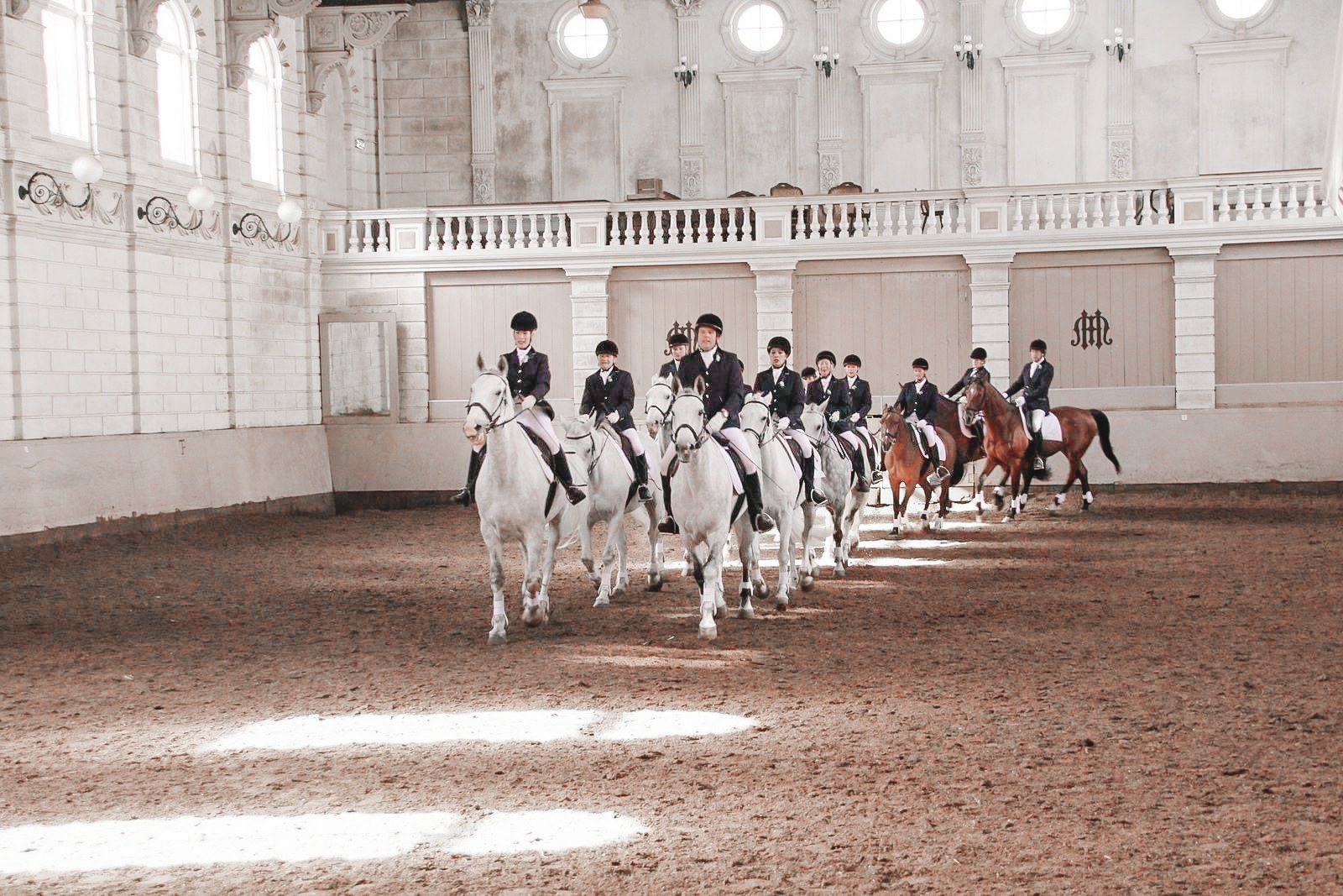Ruiters in formele kledij op witte en bruine paarden die optreden in een binnenmanege met hoge plafonds en grote ramen