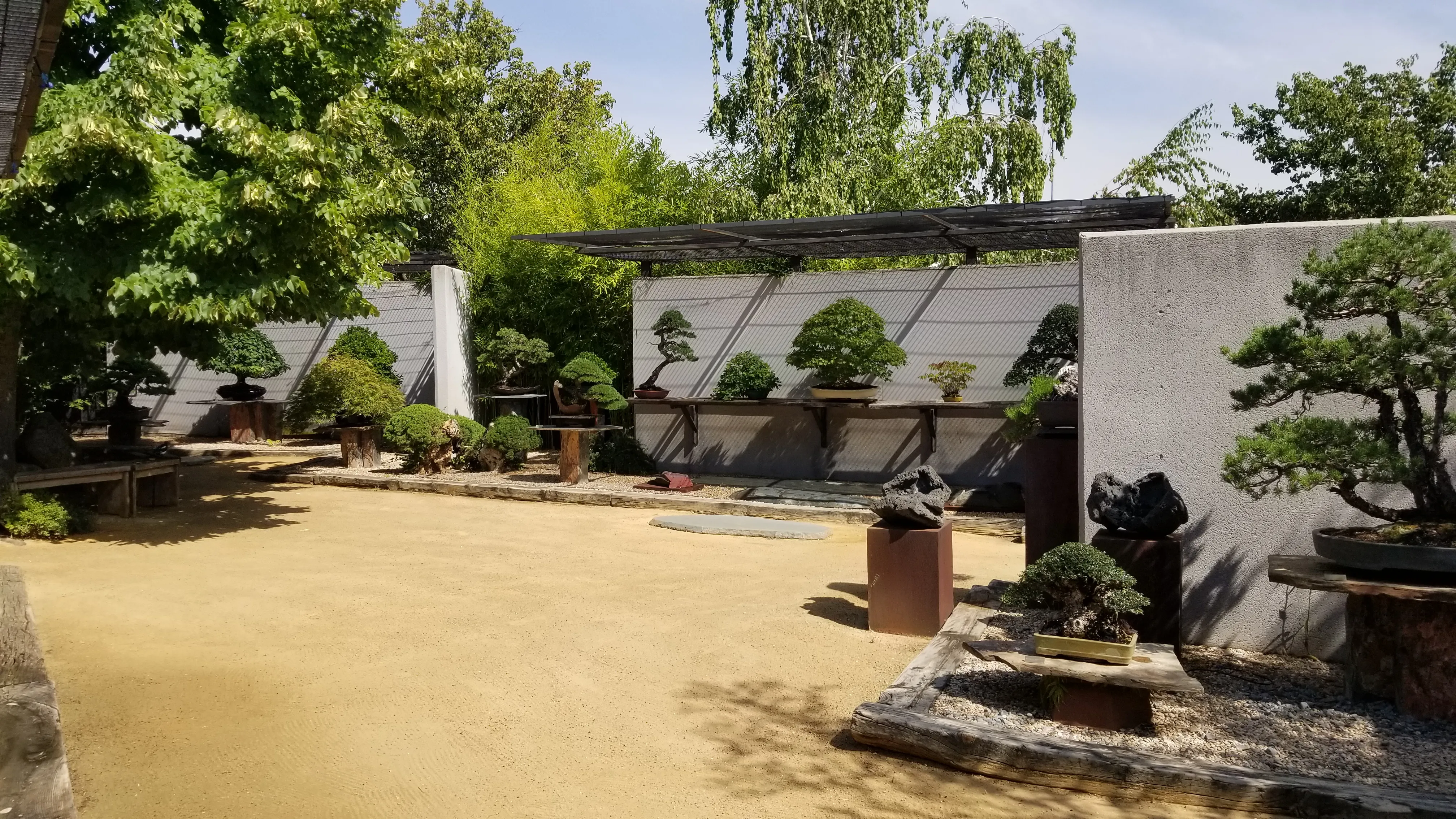 Zewnętrzny dziedziniec z drzewkami bonsai na stojakach i platformach, otoczony zielonymi drzewami i białą ścianą