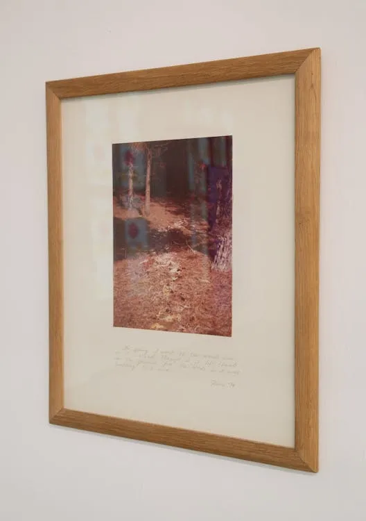 Oprawione dzieło sztuki wiszące na białej ścianie galerii, przedstawiające czerwonobrązową fotografię leśnej ścieżki z tekstem wydrukowanym na passe-partout pod obrazem.