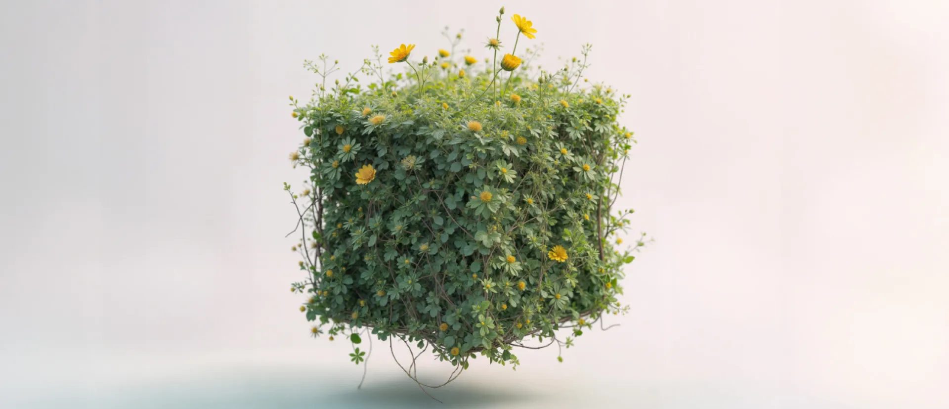 green cube covered in plants and yellow flowers