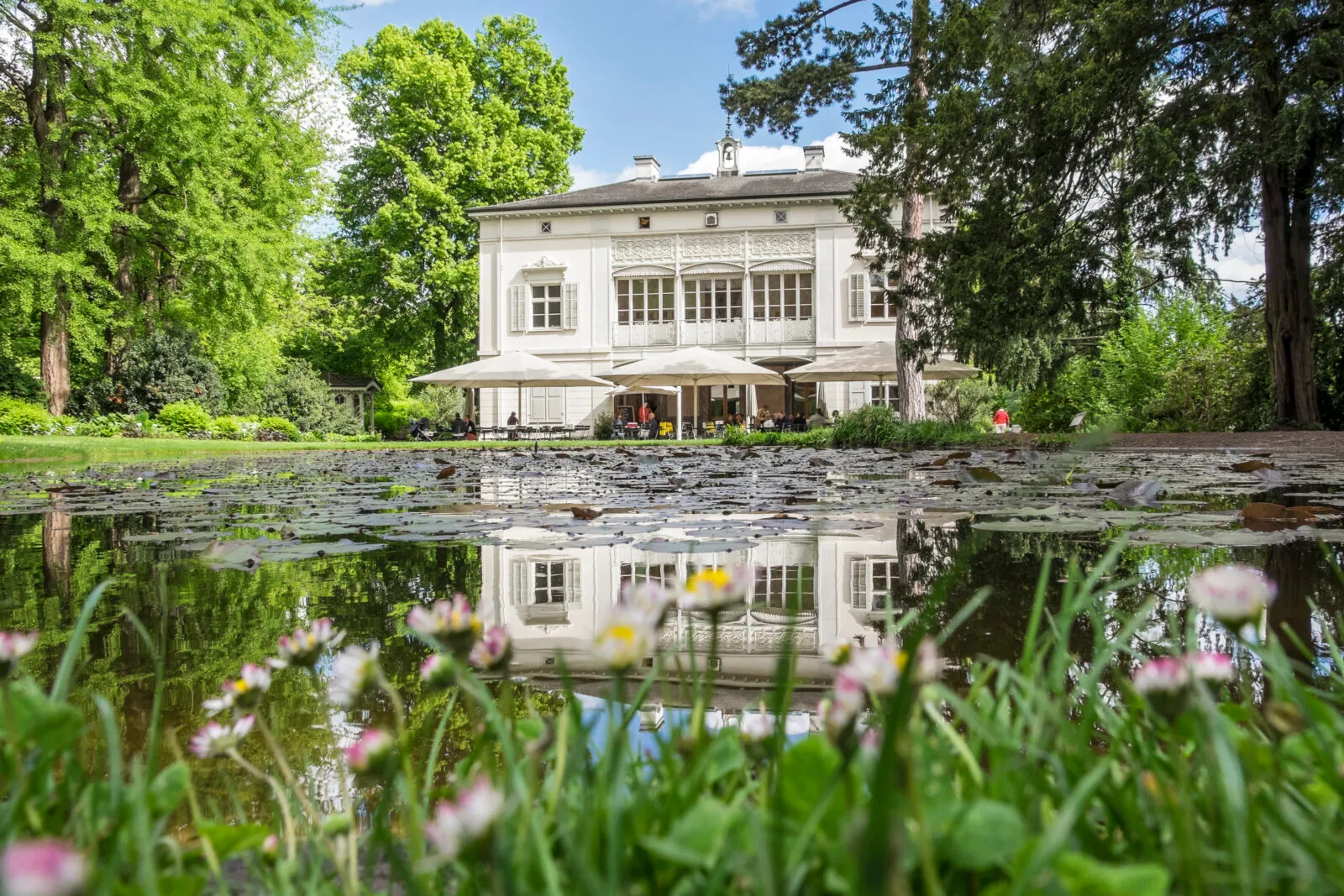 Wit erfgoedpand weerspiegeld in een vijver met waterlelies, omringd door groene bomen en voorjaarsbloemen op de voorgrond in de Merian Gärten