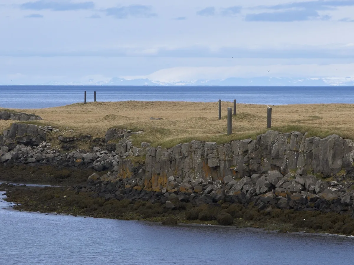 Altas y oscuras columnas de basalto que se alzan sobre un acantilado de hierba con vistas al mar, parte de la instalación Milestones de Richard Serra en la isla de Viðey.
