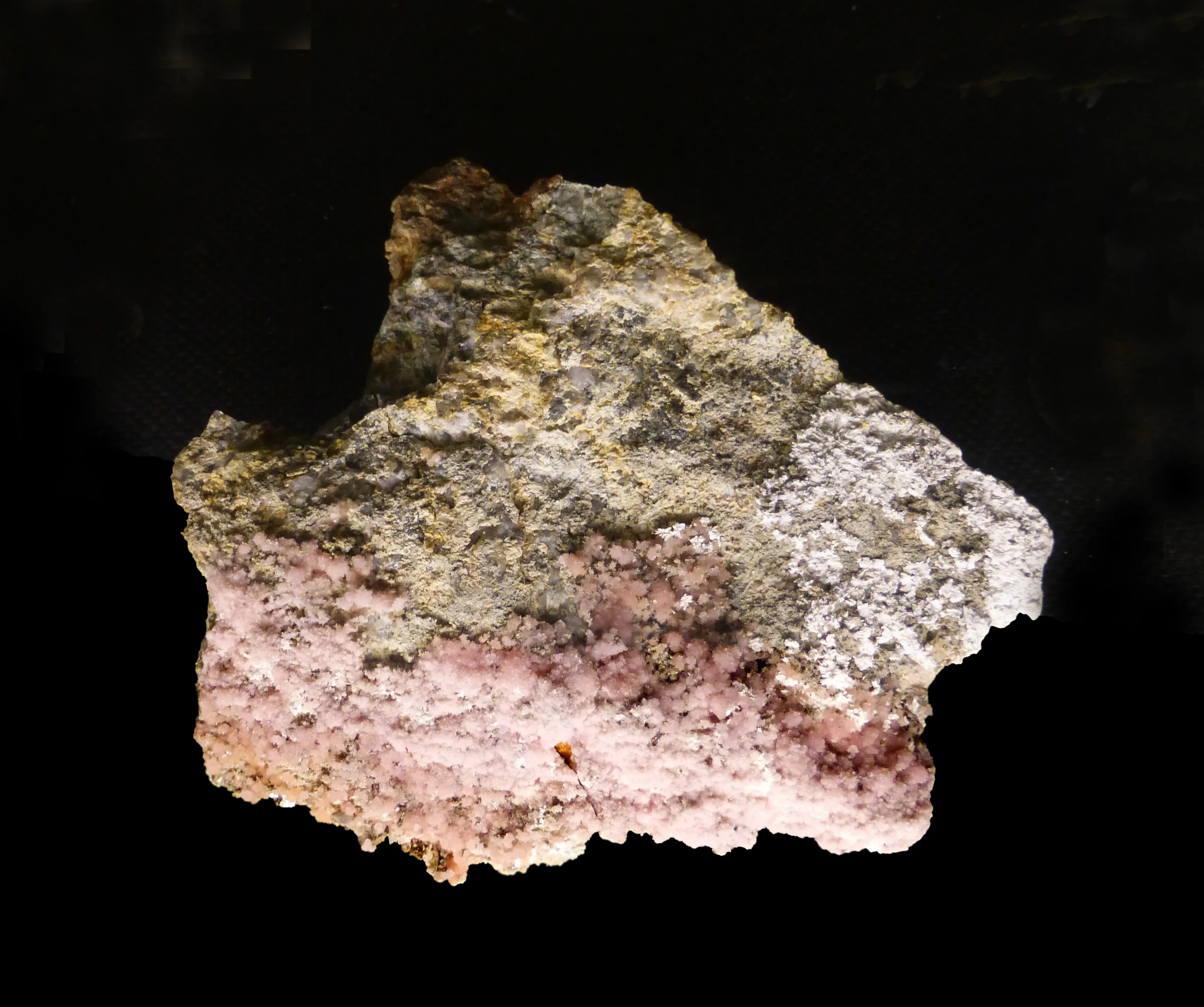 Widok reprezentatywny Muzeum Mineralogicznego w Strasburgu w Strasburgu.