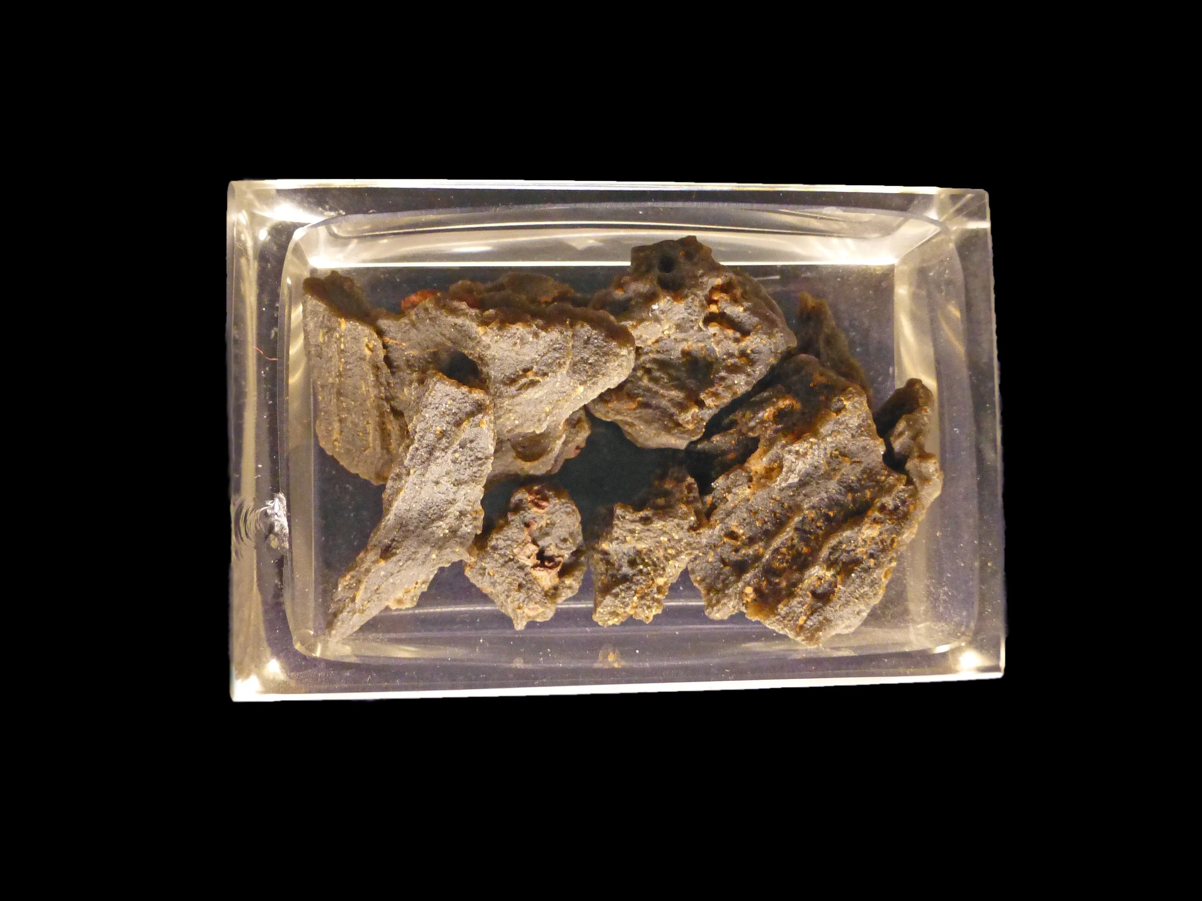 Reprezentatywny widok Muzeum Mineralogicznego w Strasburgu w Strasburgu.