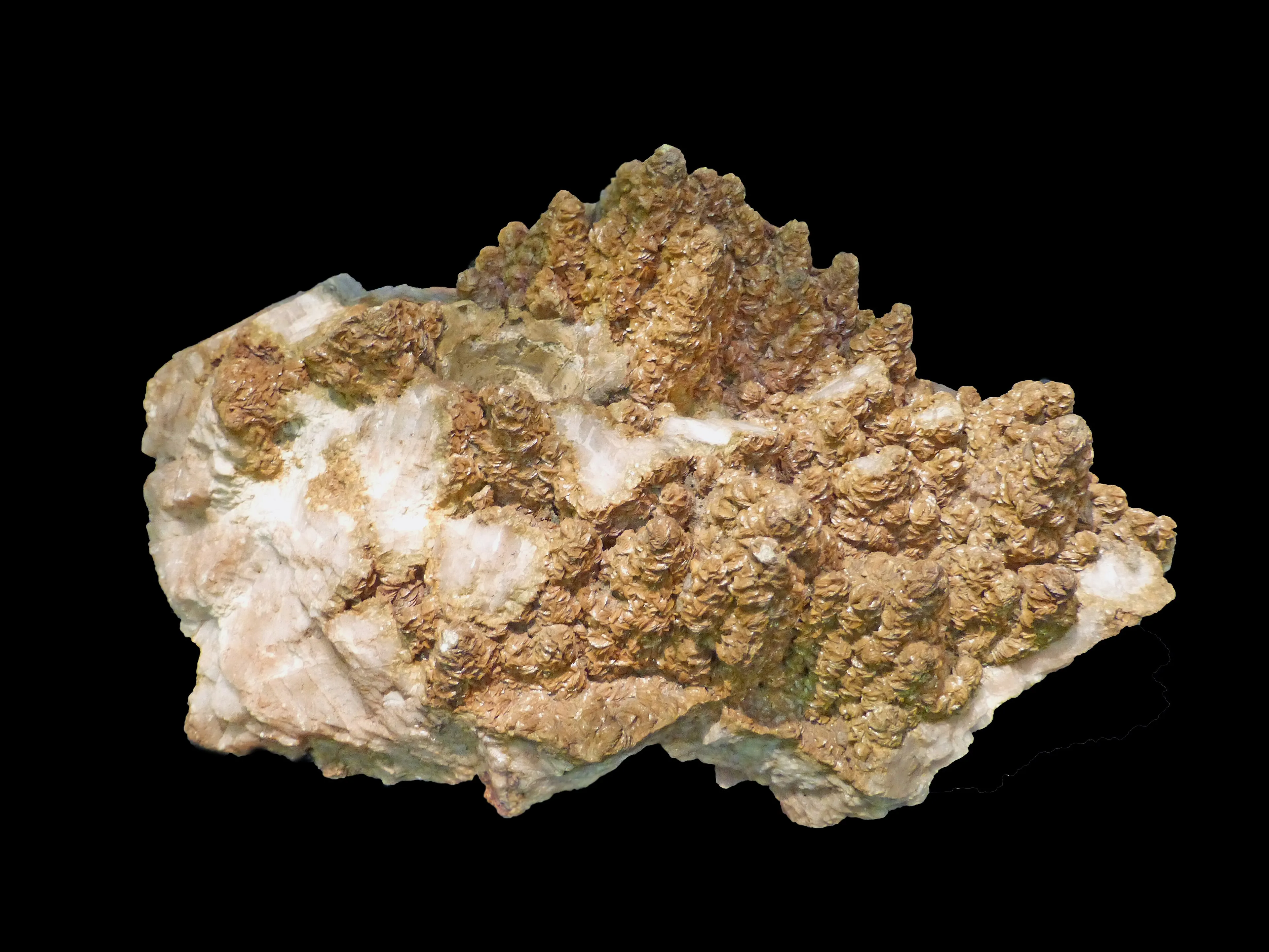 Reprezentatywny widok Muzeum Mineralogii w Strasburgu.