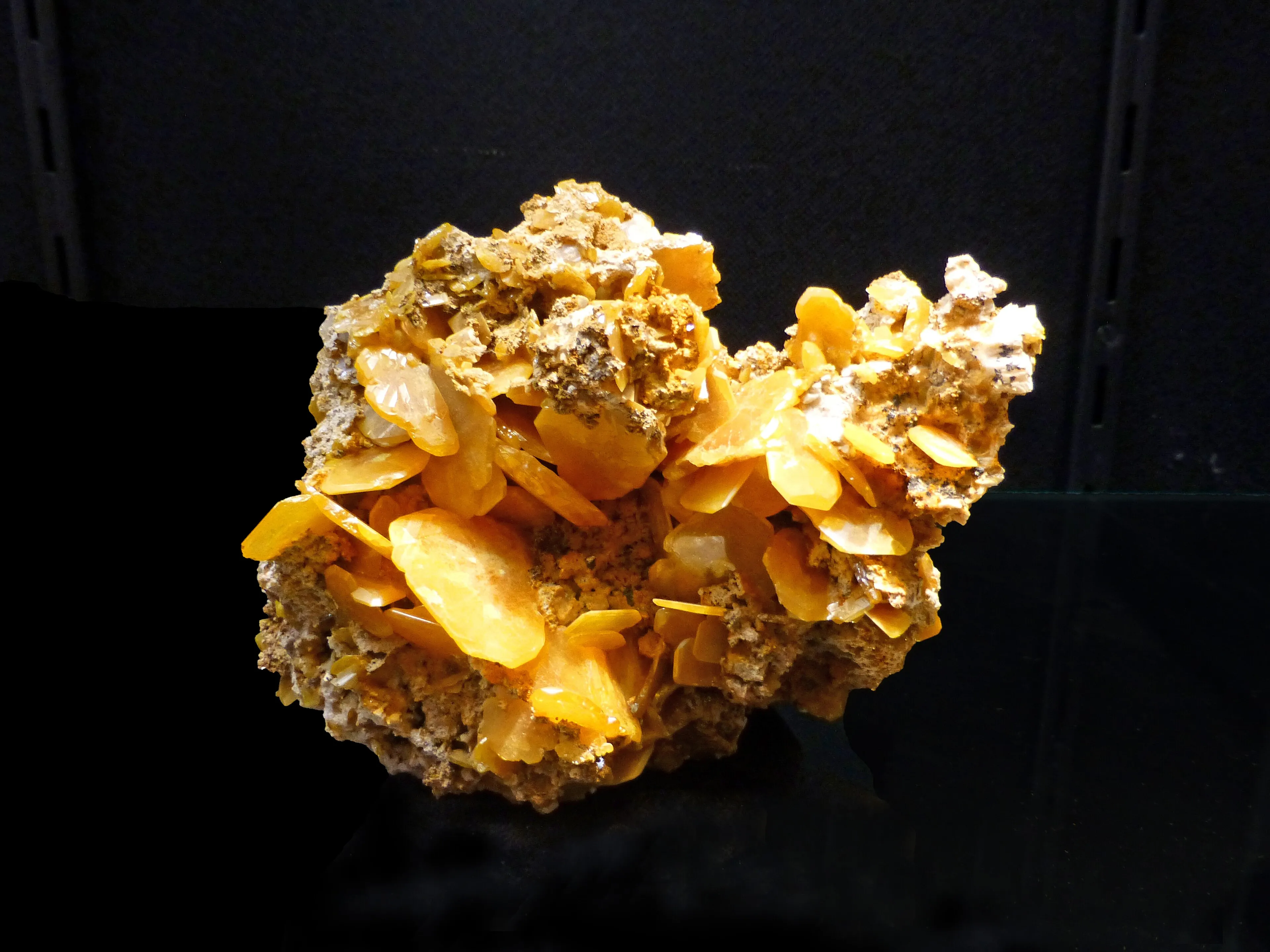 Reprezentatywny widok Muzeum Mineralogicznego w Strasburgu w Strasburgu.