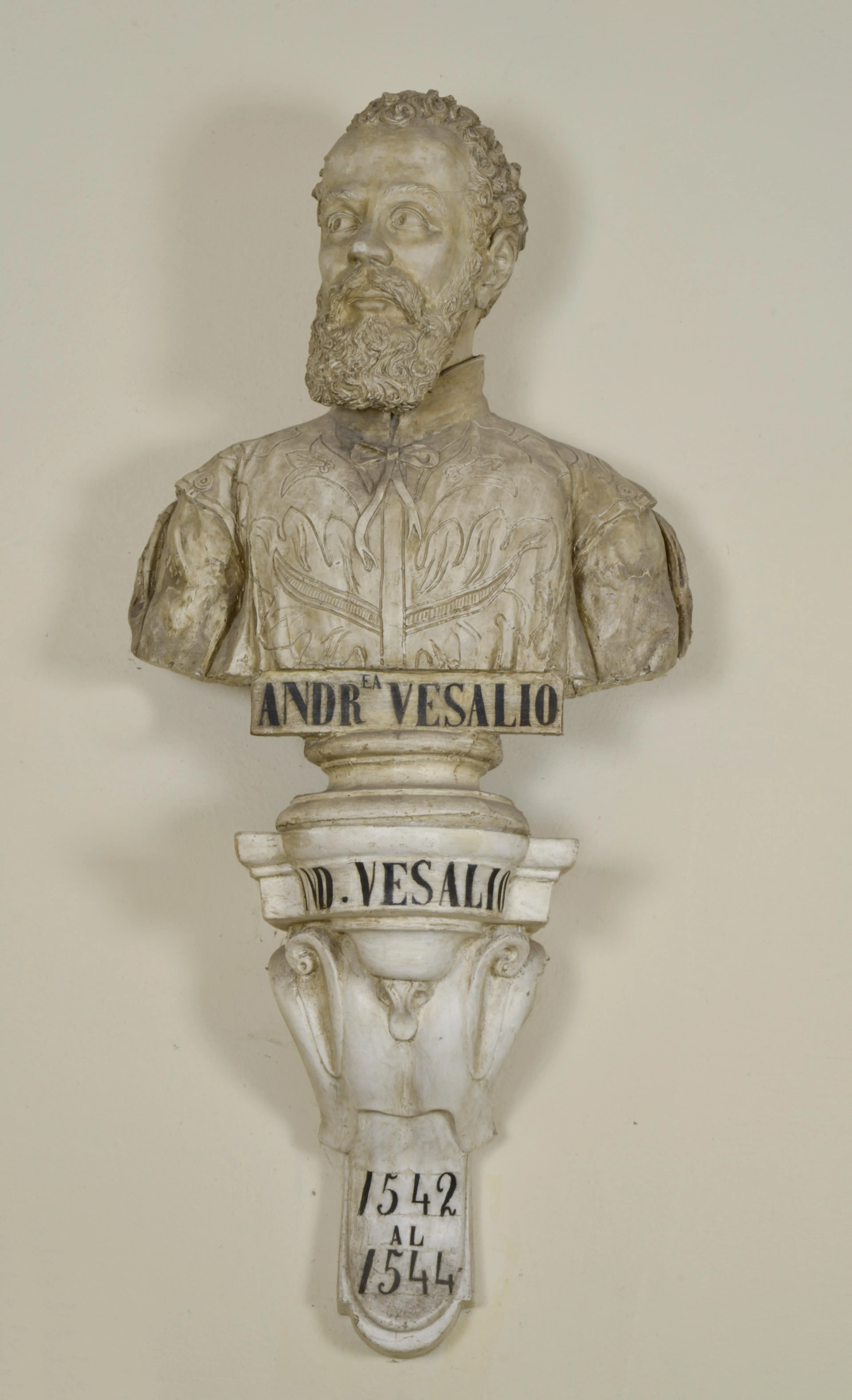 Vista representativa del Museo de Anatomía Humana Filippo Civinini en Pisa.