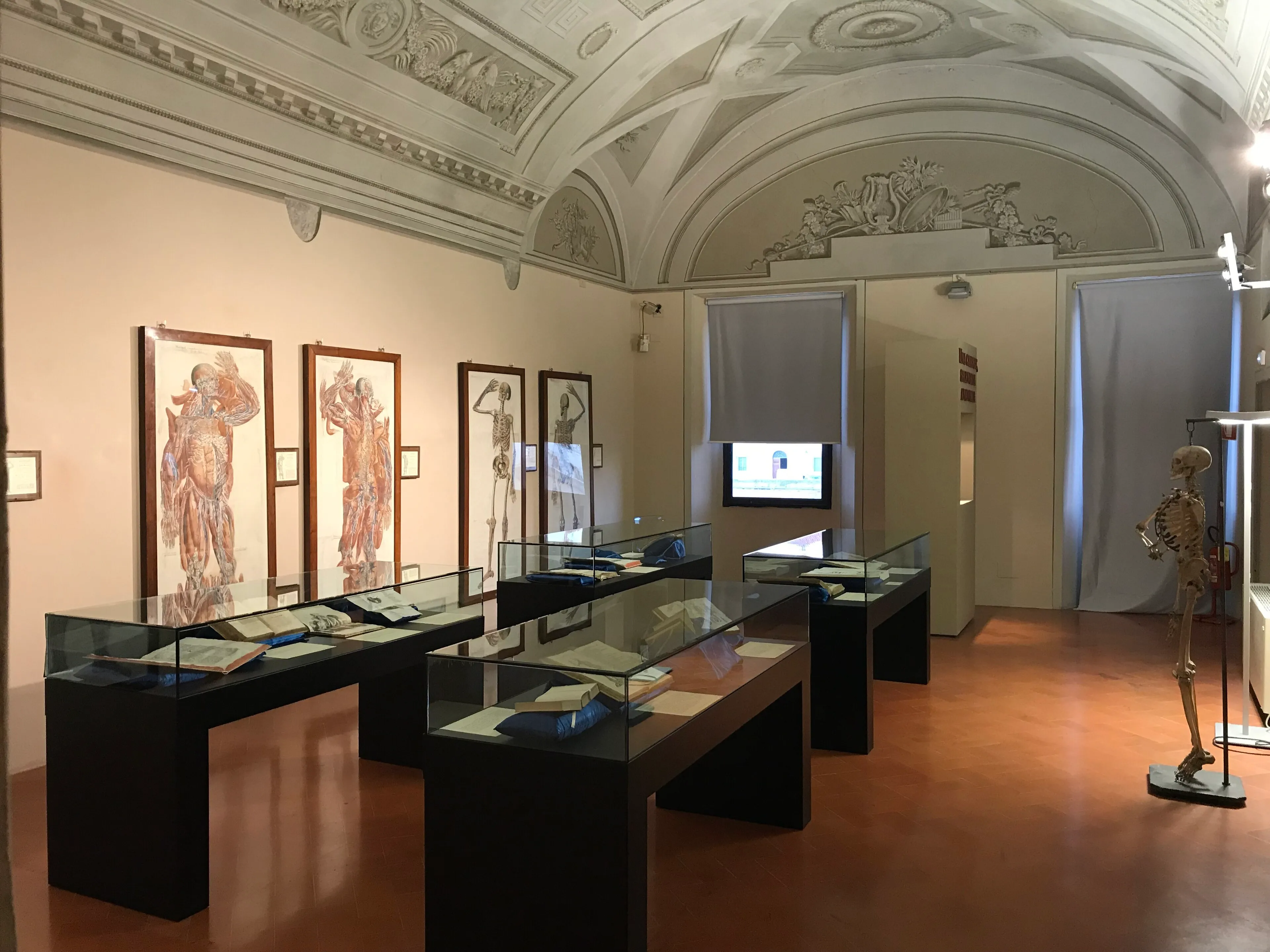 Widok wnętrza Muzeum Sztuk Graficznych w Pizie.