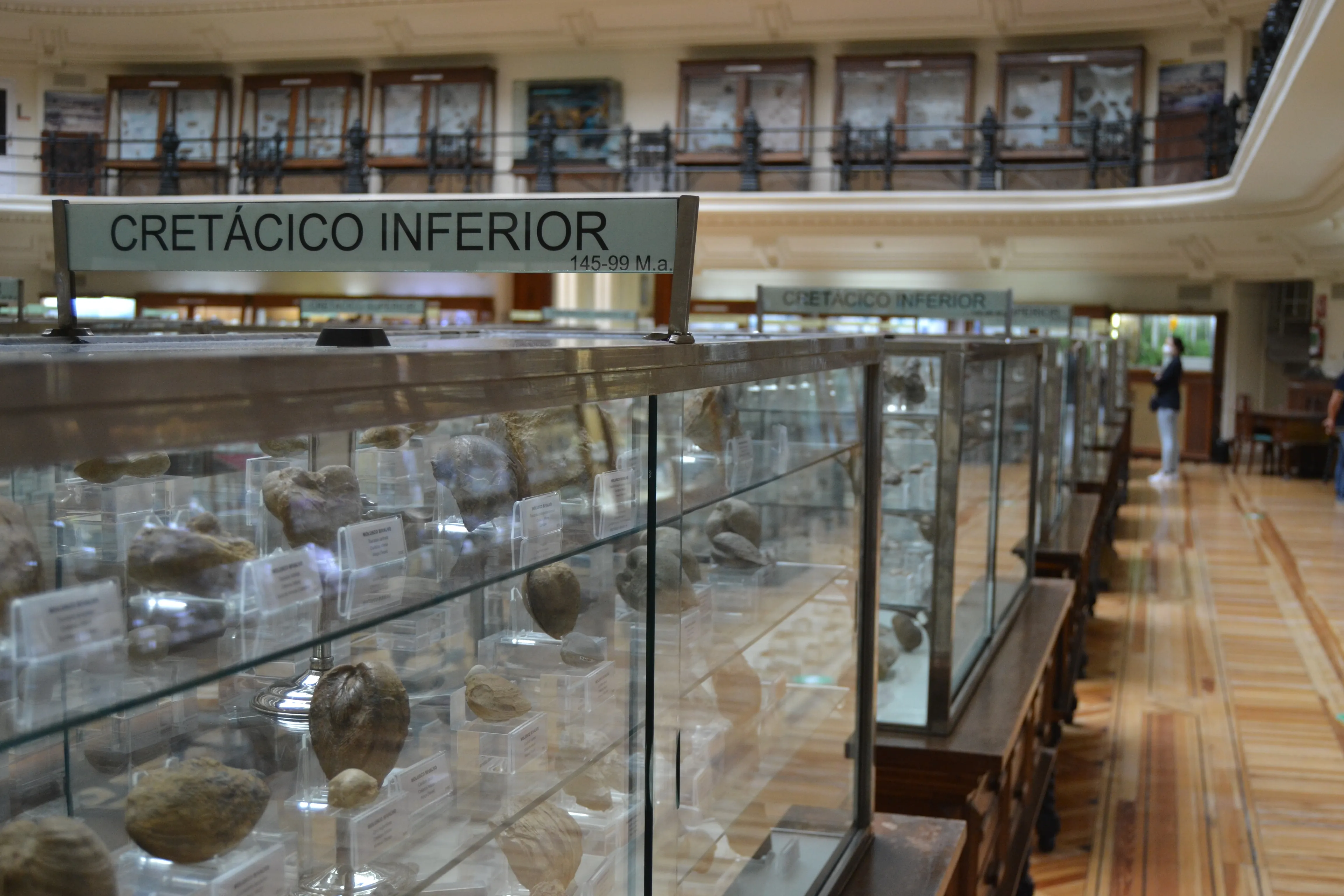 Glass display cases filled with mineral specimens under a high ceiling with a sign reading CRETÁCICO INFERIOR
