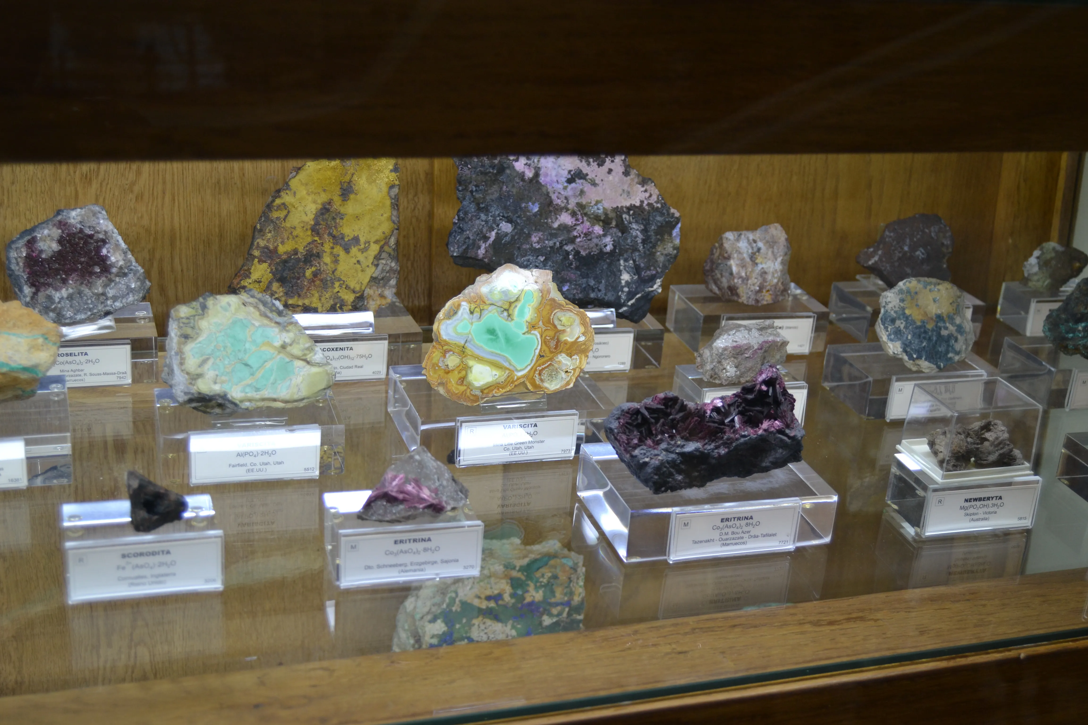 Glass display case with various minerals and crystals on white labels