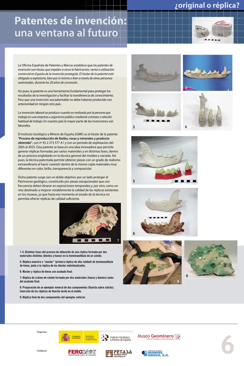 Pagina uit een museumpublicatie die een fossielenreproductieproces toont met afbeeldingen van het originele fossiel, een digitaal model en een geprinte replica, samen met Spaanse tekst en logo's onderaan.