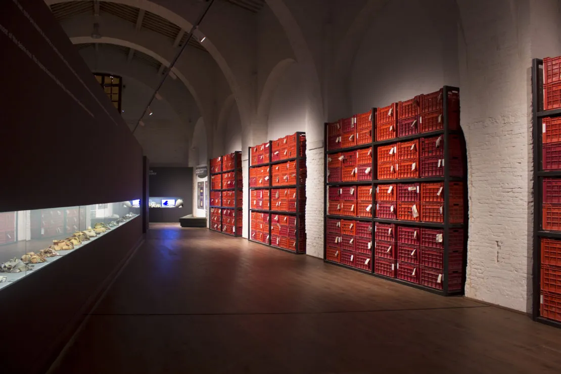 Representative view of Museum of Ancient Ships of Pisa in Pisa.