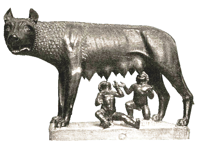 Representative view of Museum of Ancient Ships of Pisa in Pisa.