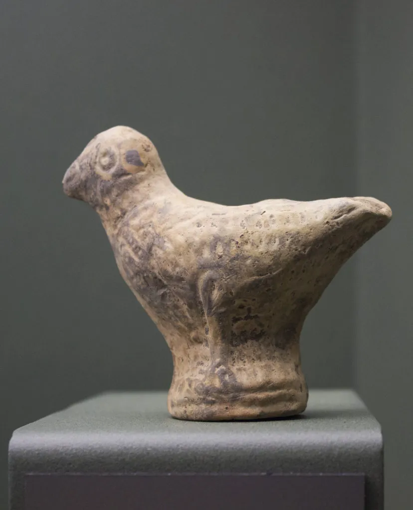 Representative view of Museum of Ancient Ships of Pisa in Pisa.