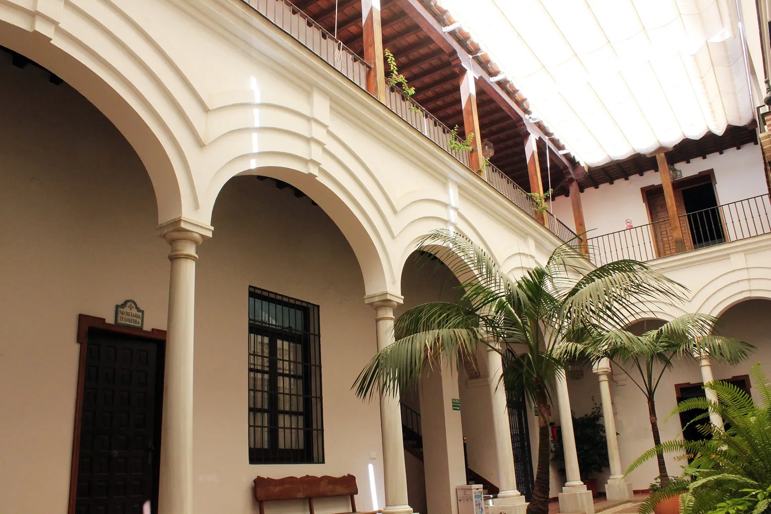 Patio interior con columnata de arcos blancos, palmeras y un techo acristalado dentro del edificio del museo.