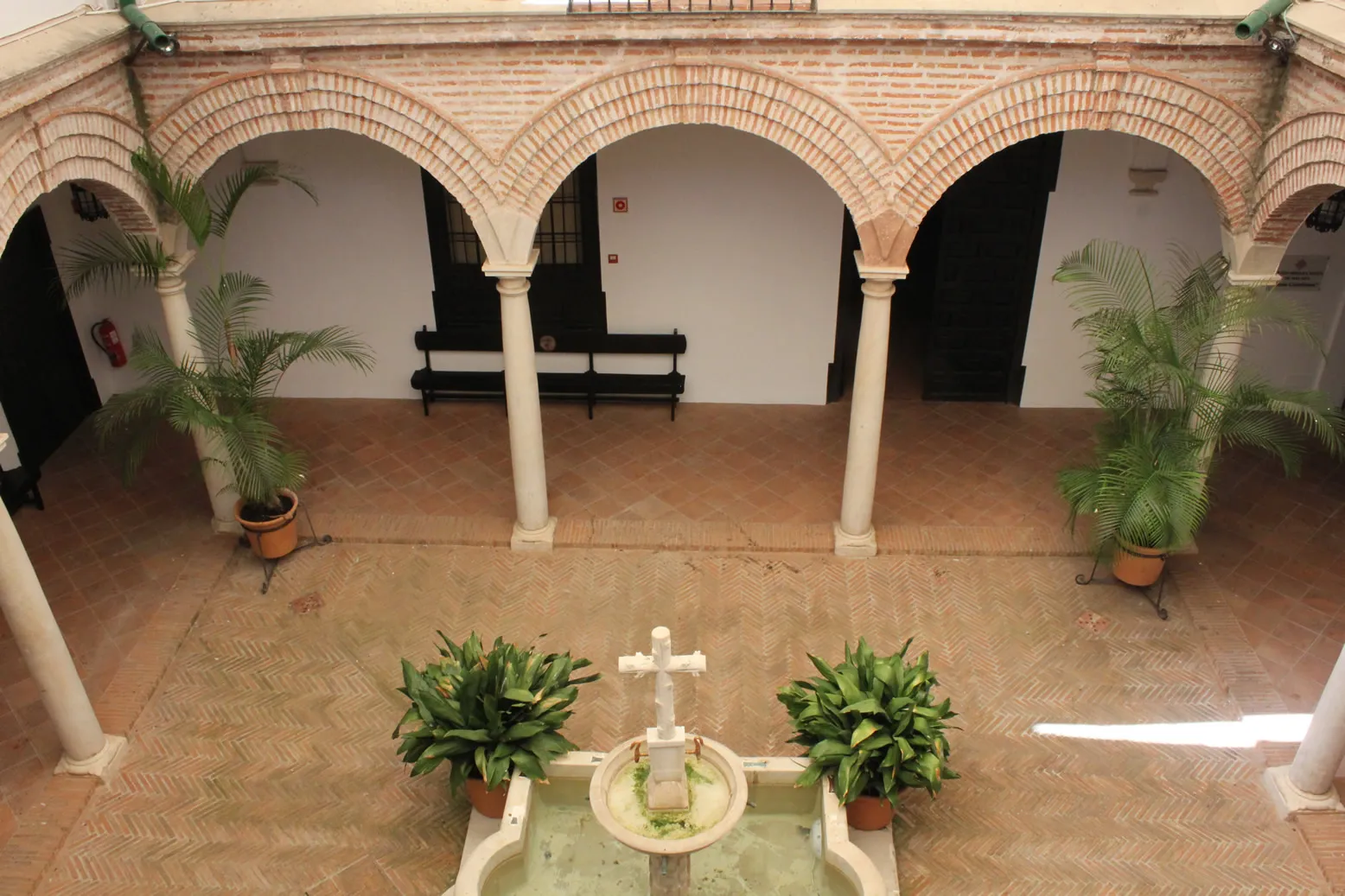 Patio interior con arcos de ladrillo, columnas blancas, una fuente central rematada con una cruz y palmeras en macetas sobre un suelo de baldosas.