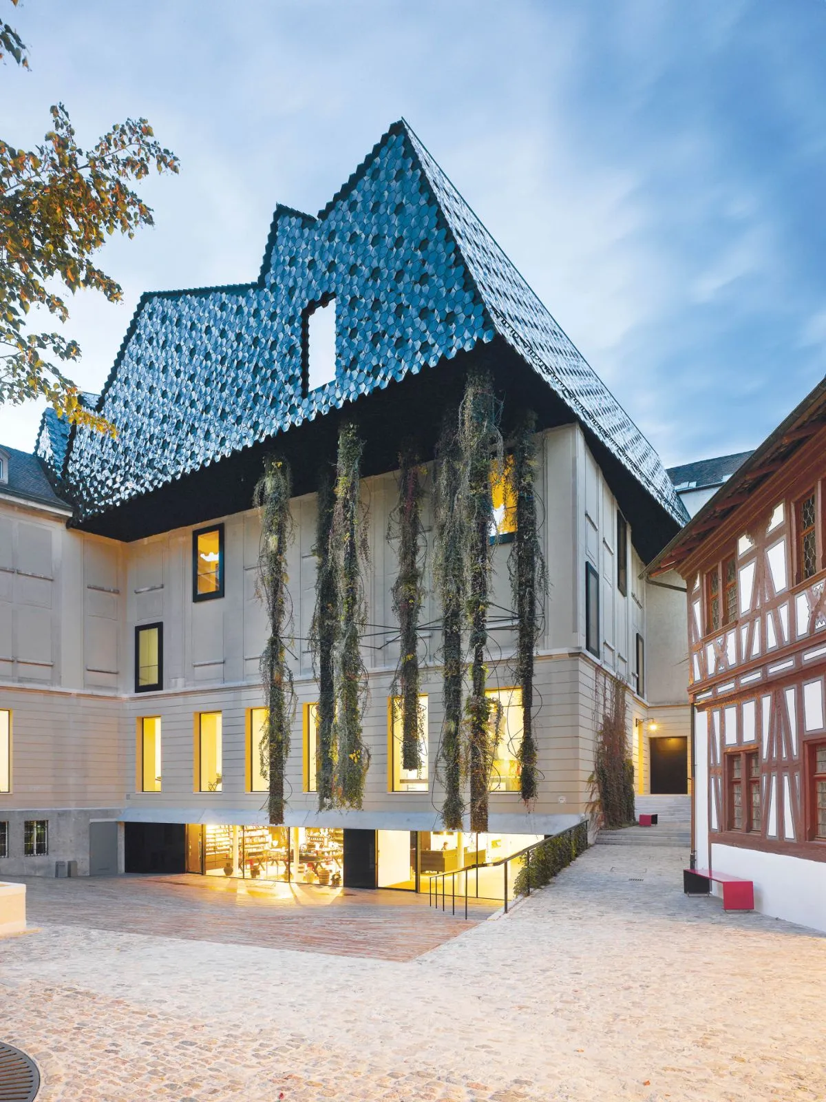 Grafiek met openingstijden van het museum voor Museum der Kulturen Basel