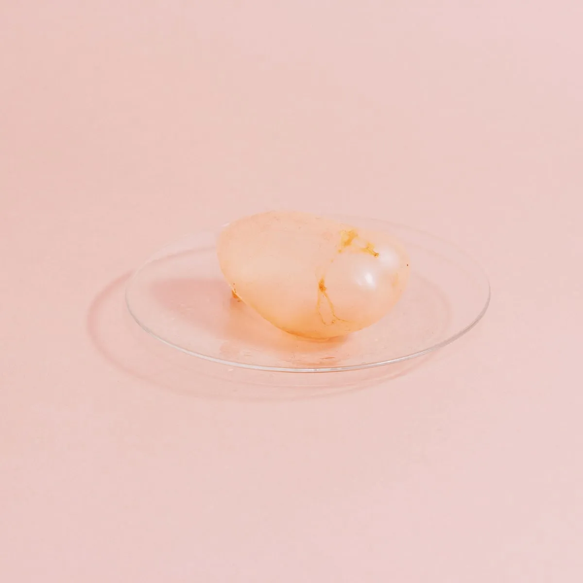un objeto pálido y translúcido en un plato de vidrio transparente sobre un fondo rosa