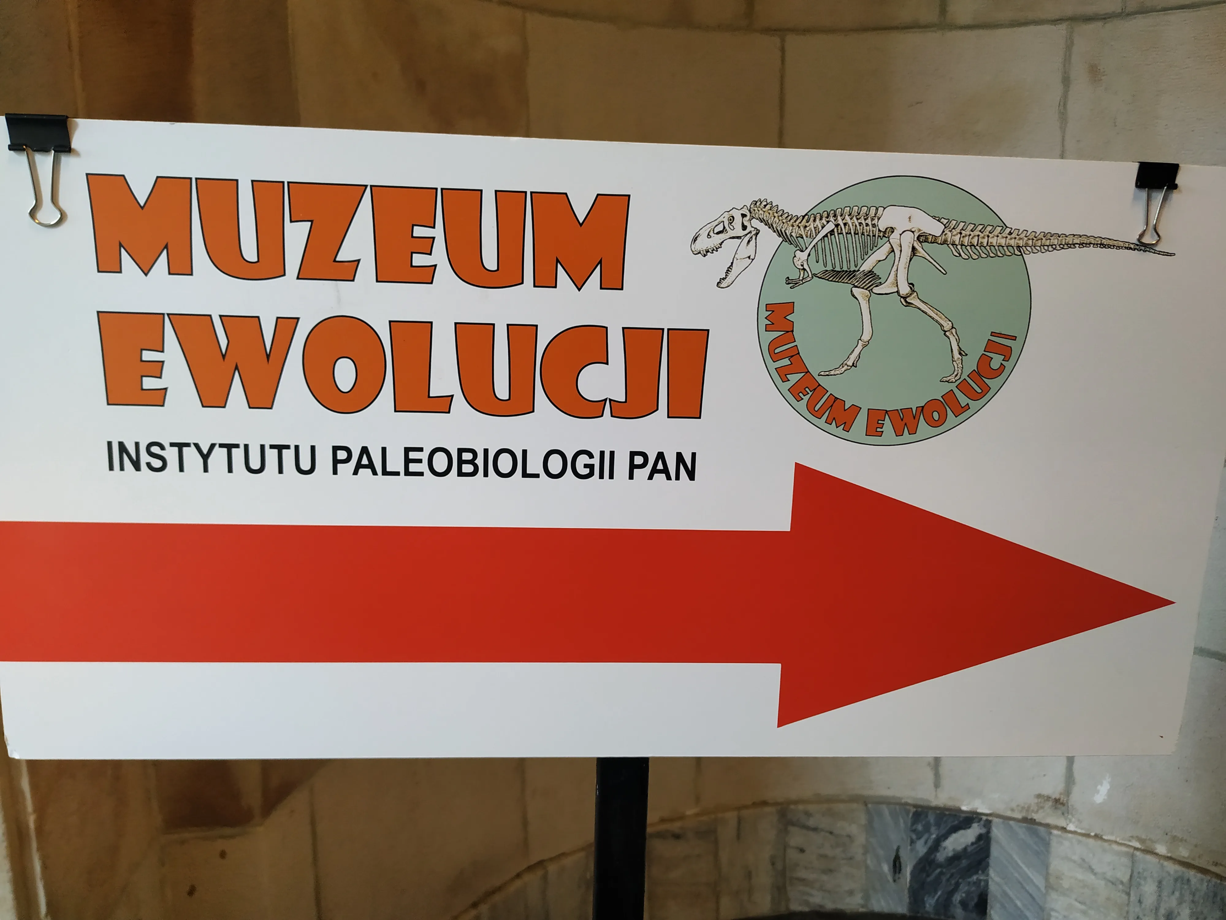 Cartel blanco con texto naranja 'MUZEUM EWOLUCJI' y 'INSTYTUTU PALEOBIOLOGII PAN', una flecha roja apuntando a la derecha y un logo circular con un esqueleto de dinosaurio.