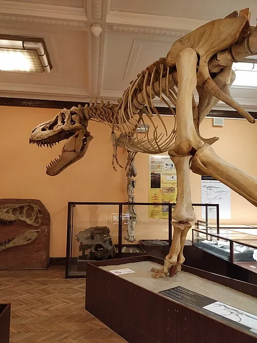 Esqueleto de dinosaurio a gran escala expuesto en un museo con paneles informativos y otras exhibiciones de fósiles